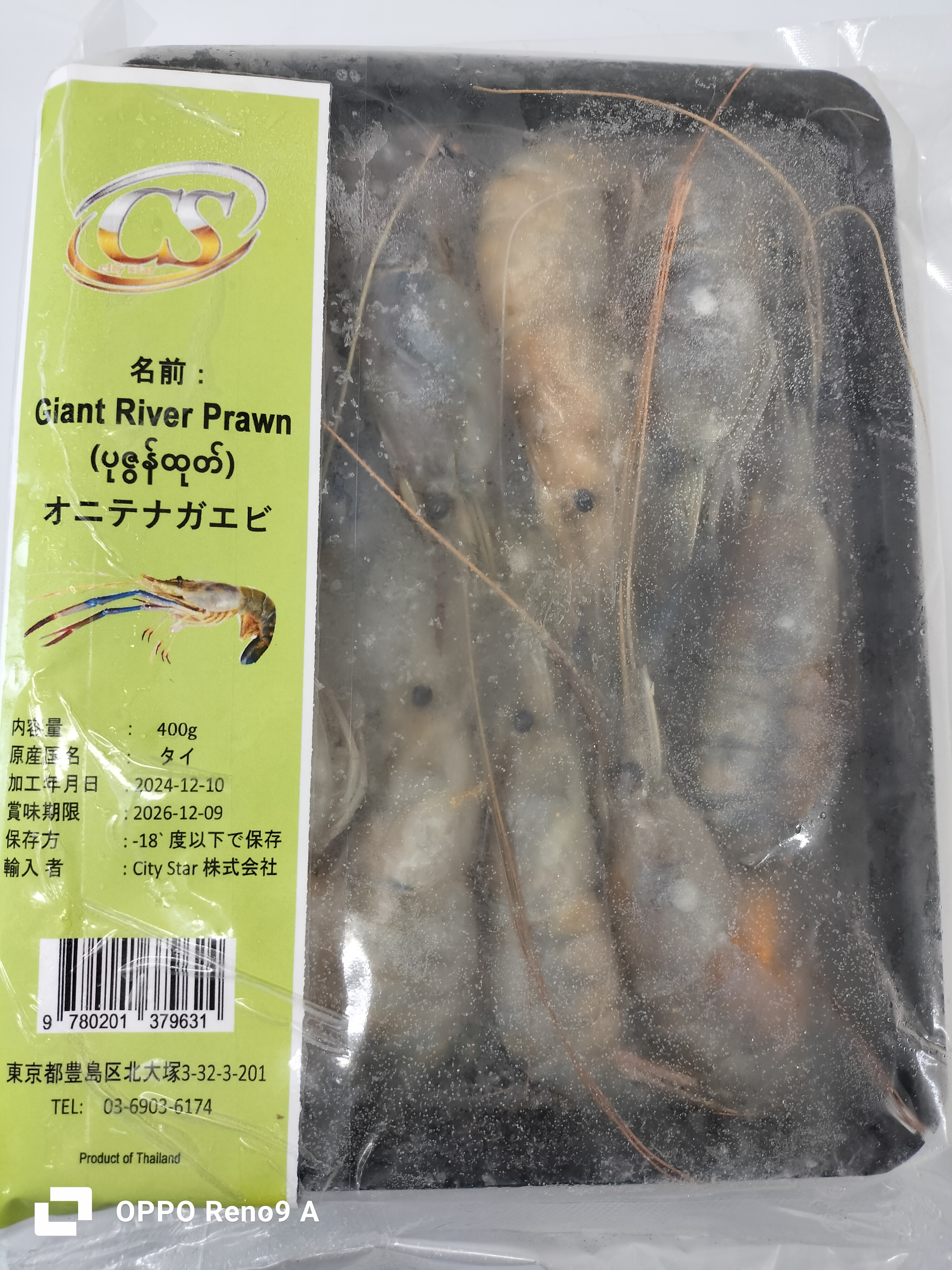 ပုဇွန်တုတ်