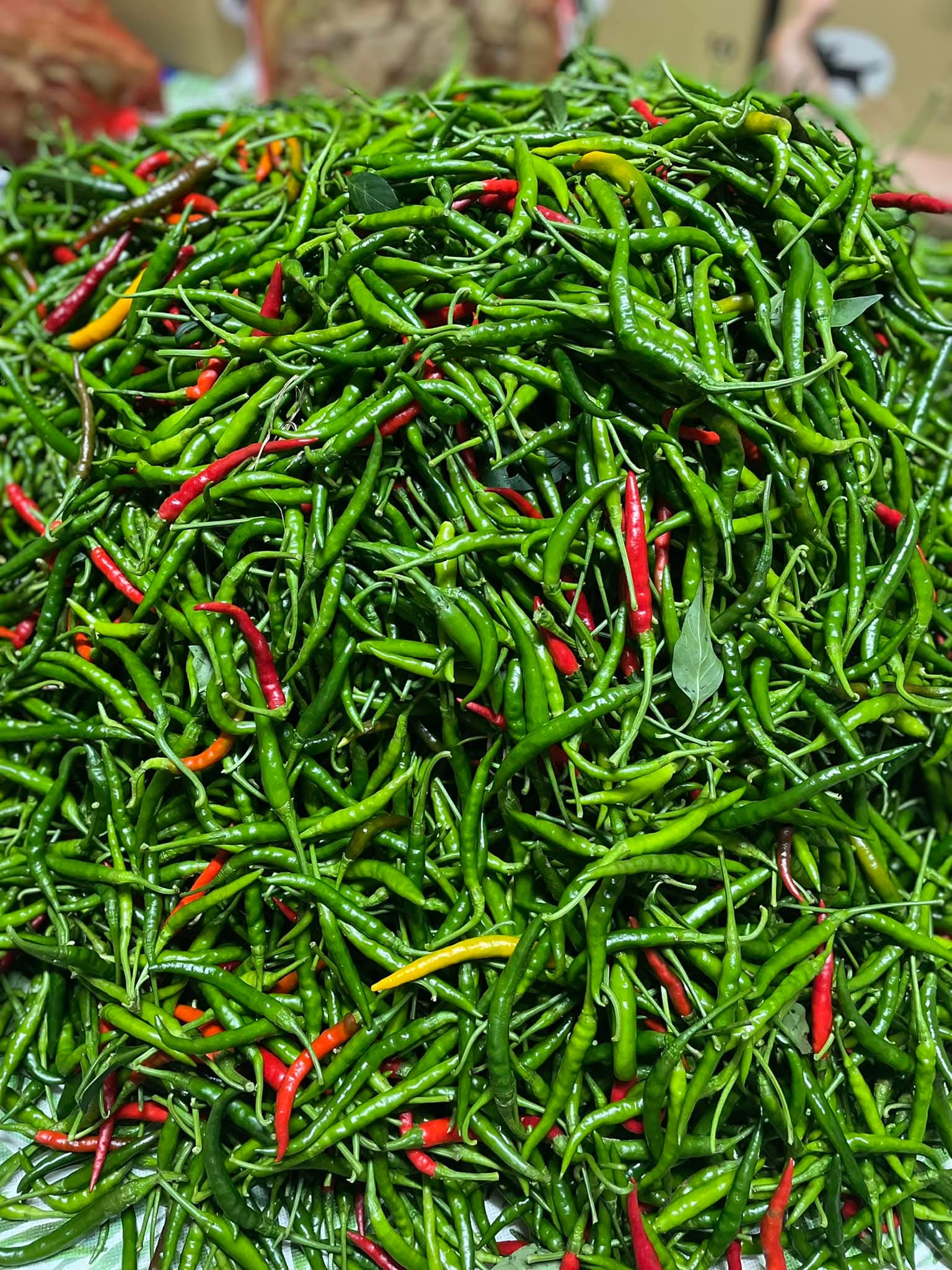ငရုတ်သီးစိမ်းfresh(200g)