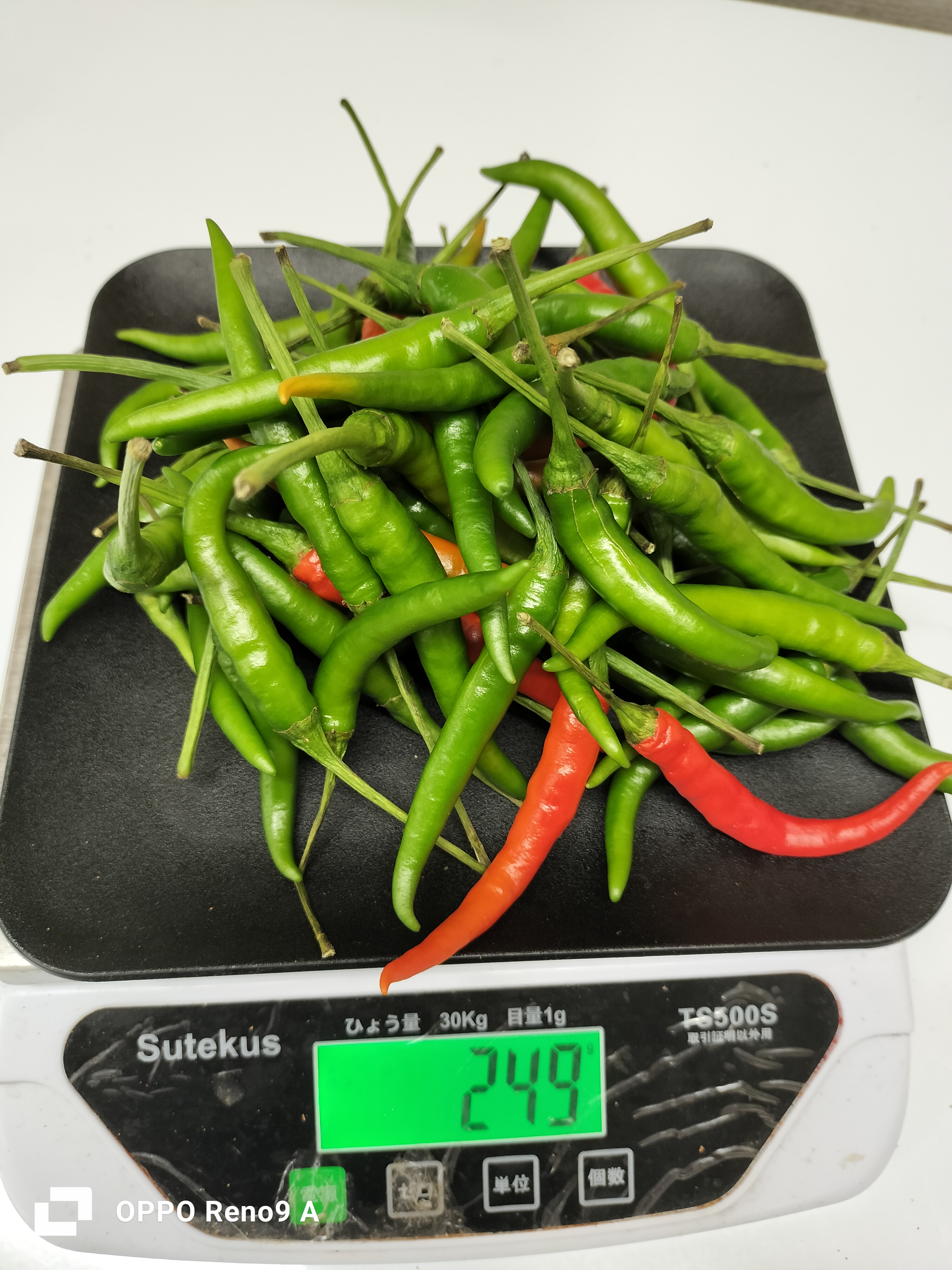 ငရုတ်သီးစိမ်းfresh(250g)