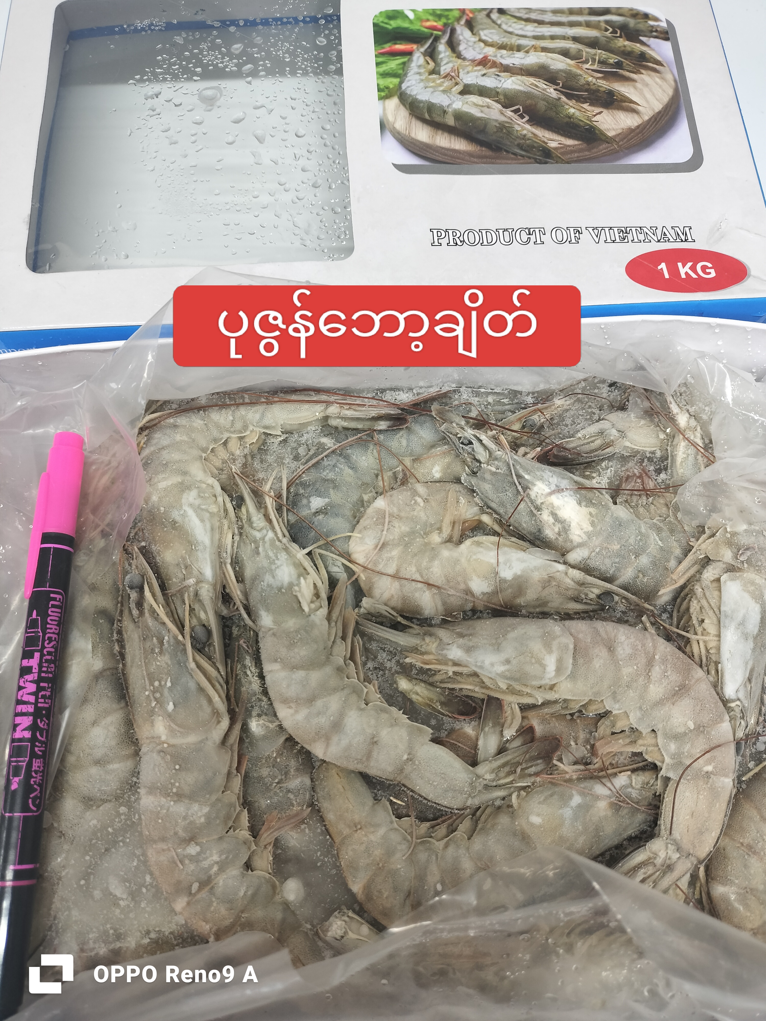ပုဇွန်ဘော့ချိတ်