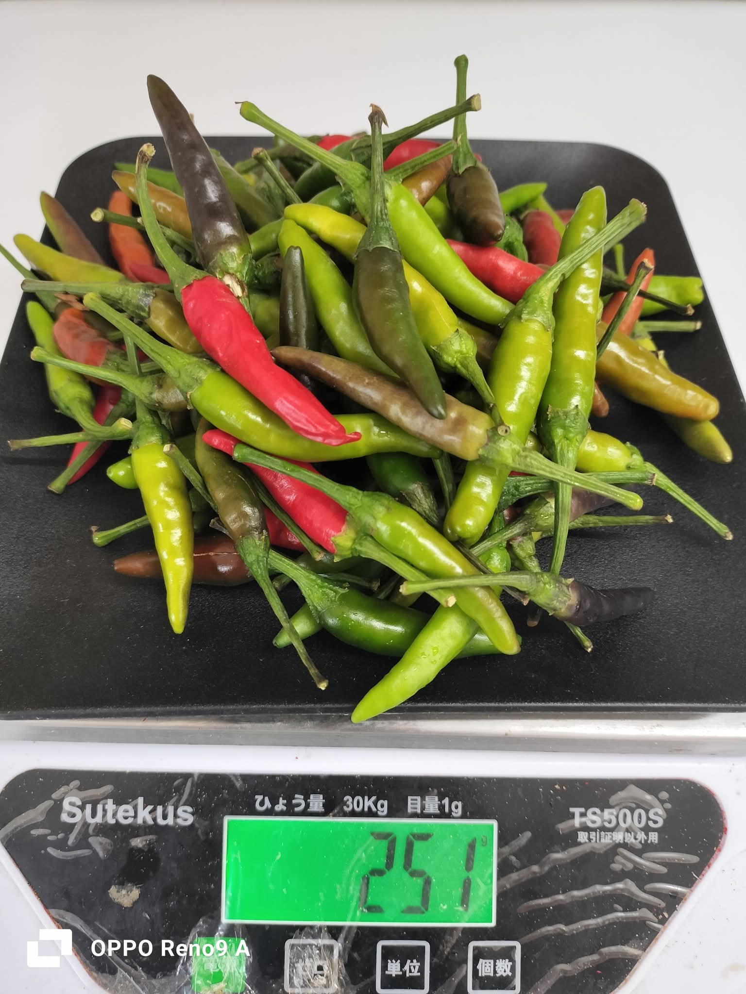 ငရုတ်သီးစိမ်းfresh(250g)