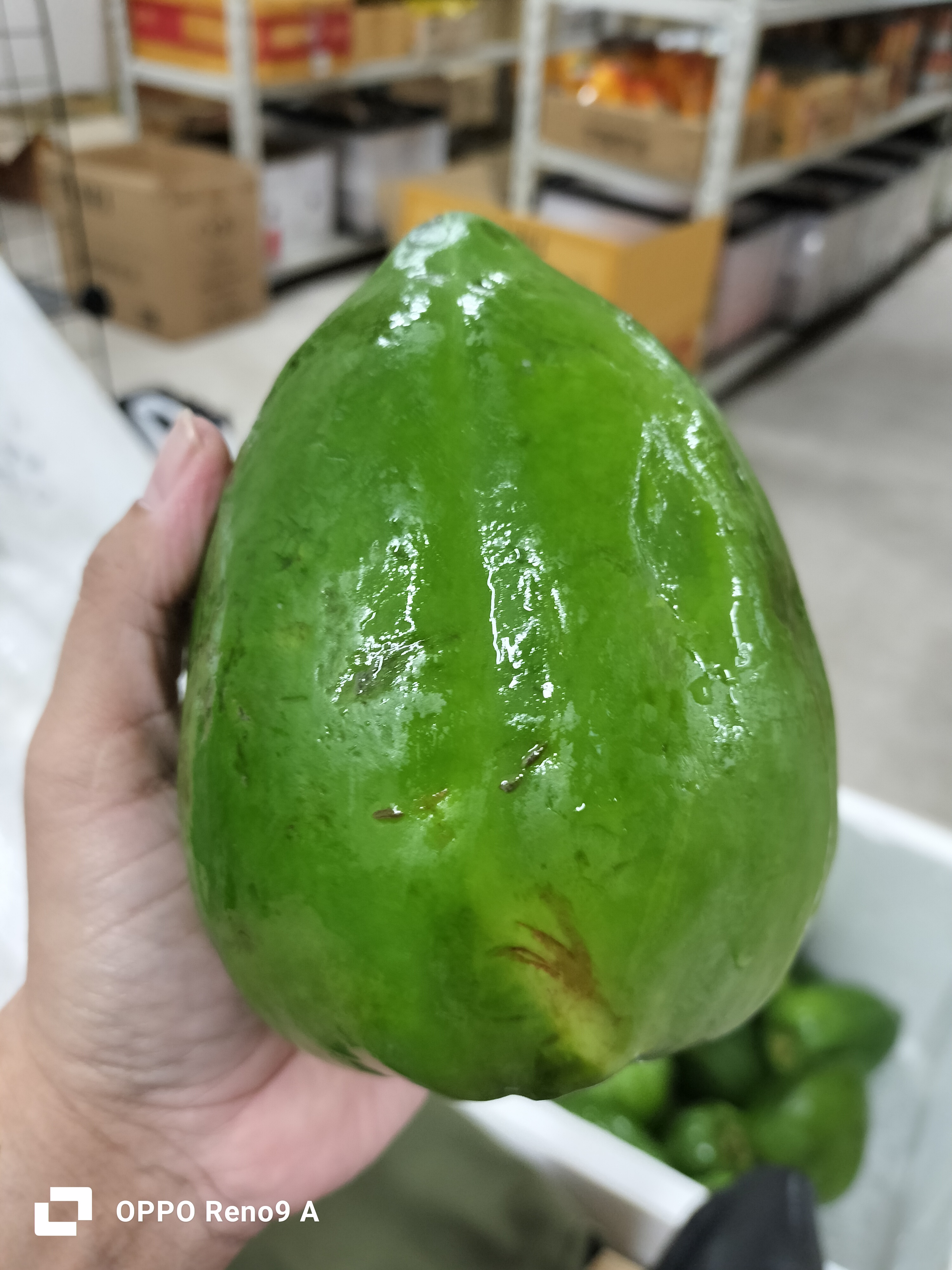 သင်္ဘောသီးစိမ်း 