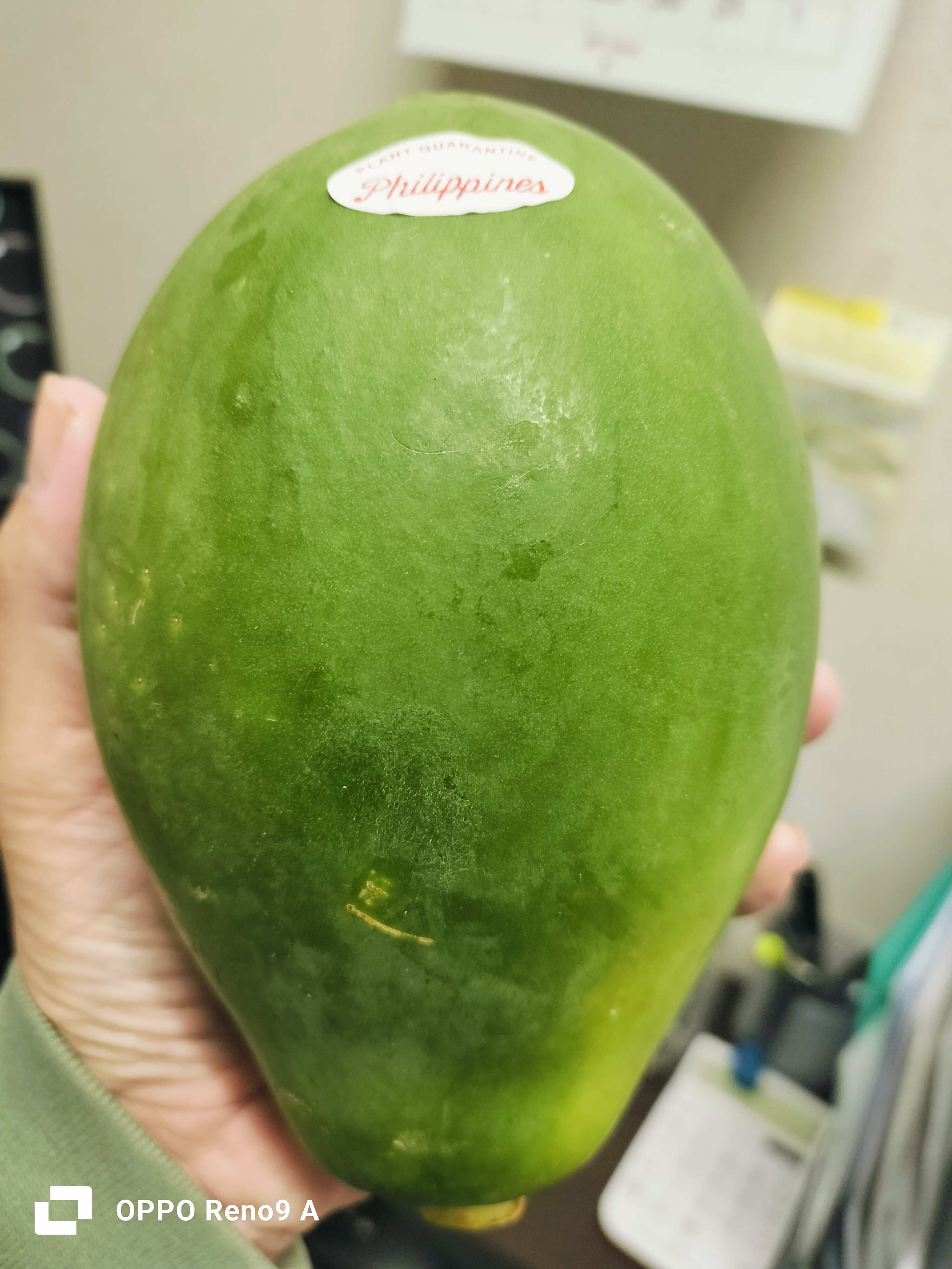 သင်္ဘောသီးစိမ်း 