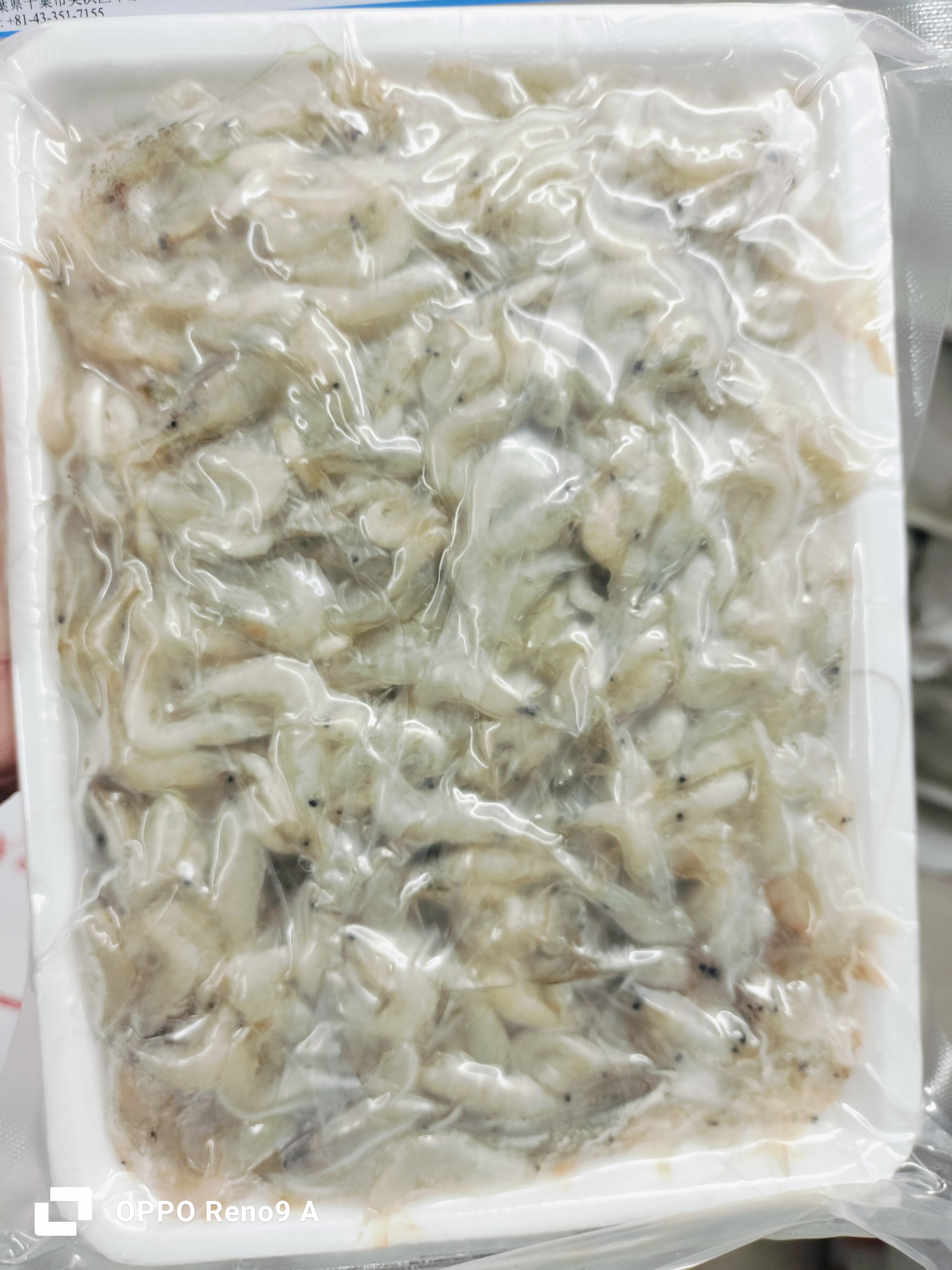 ပုဇွန်ဆိတ်(300g )