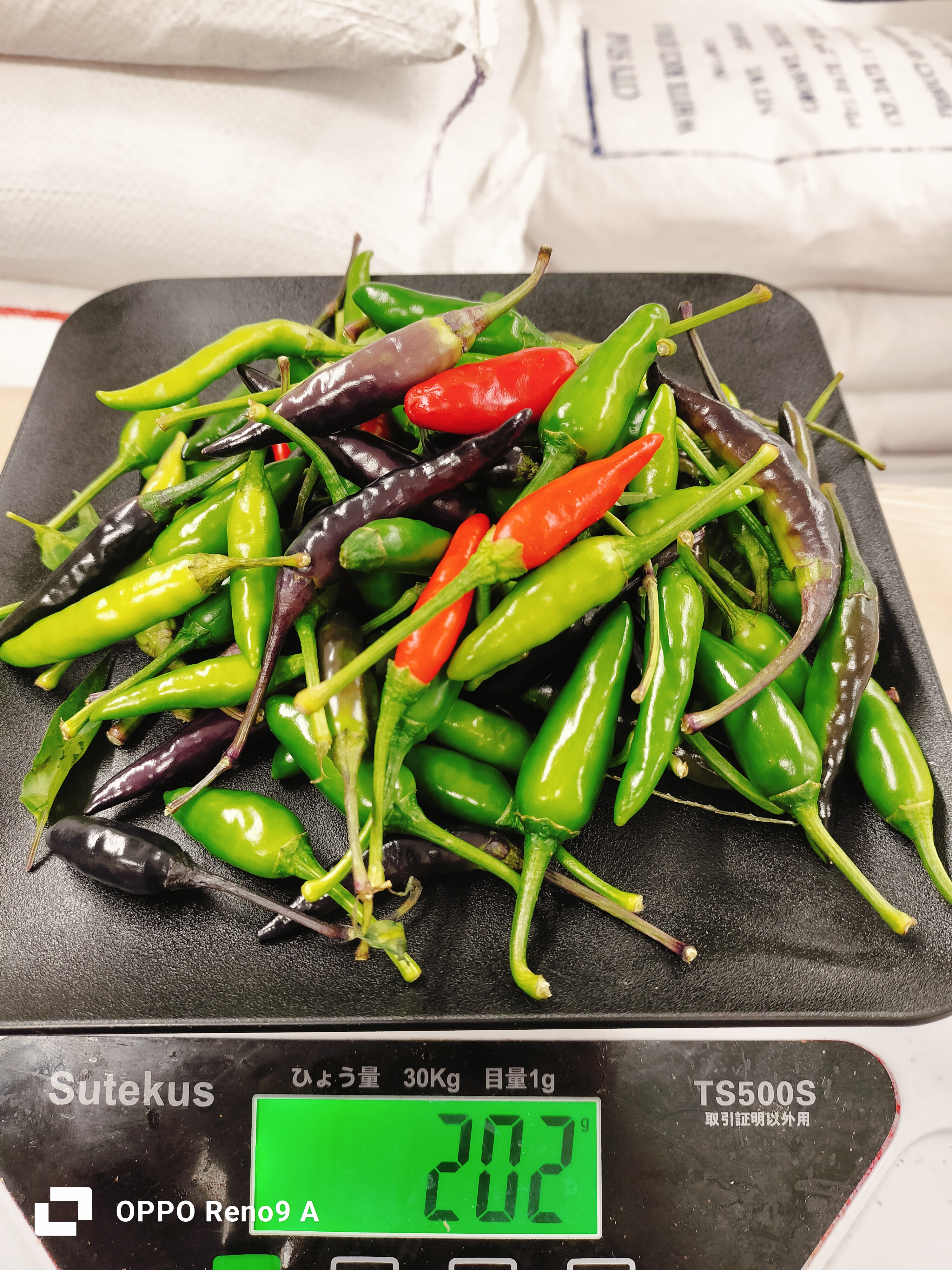 ငရုတ်သီးစိမ်းfresh(200g)