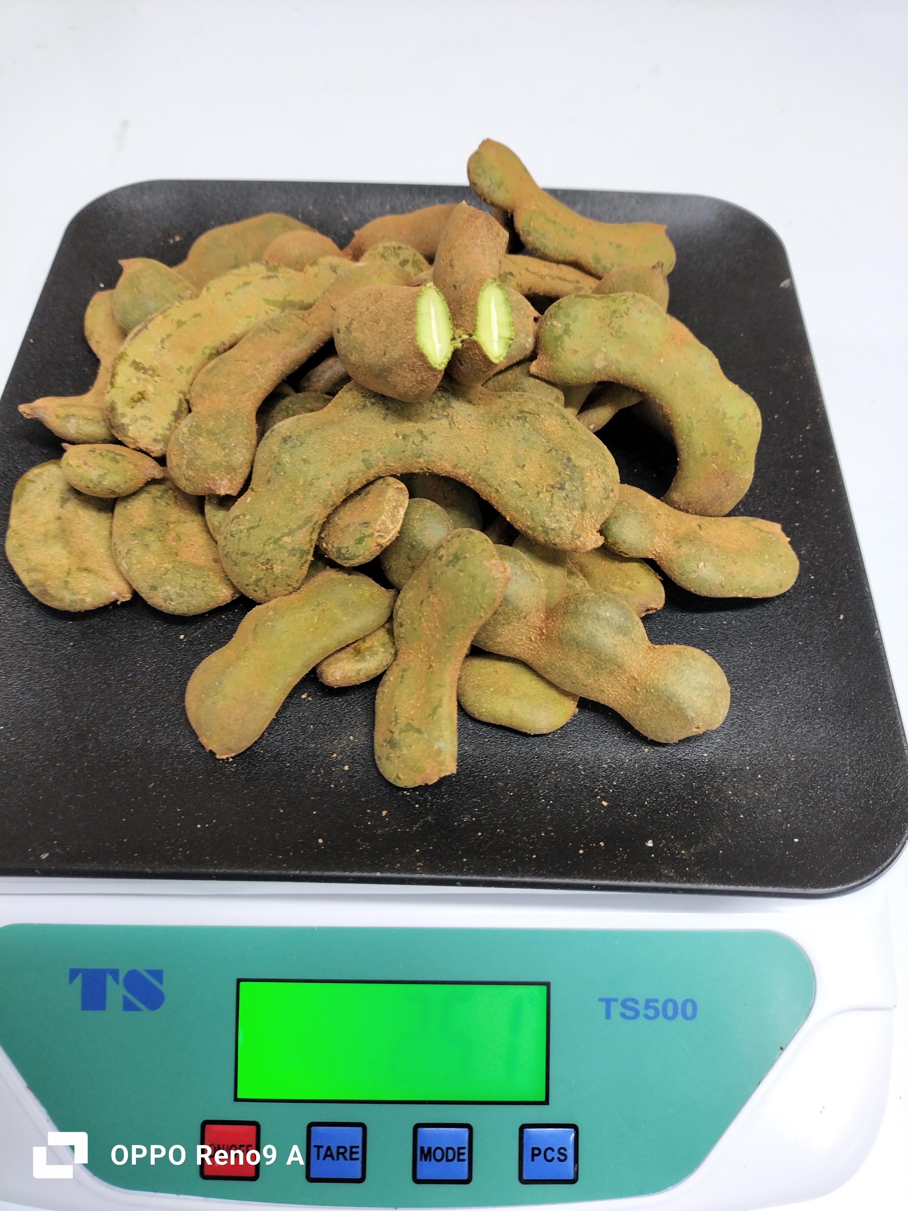 မန်ကျည်းသီးစိမ်း(250g)