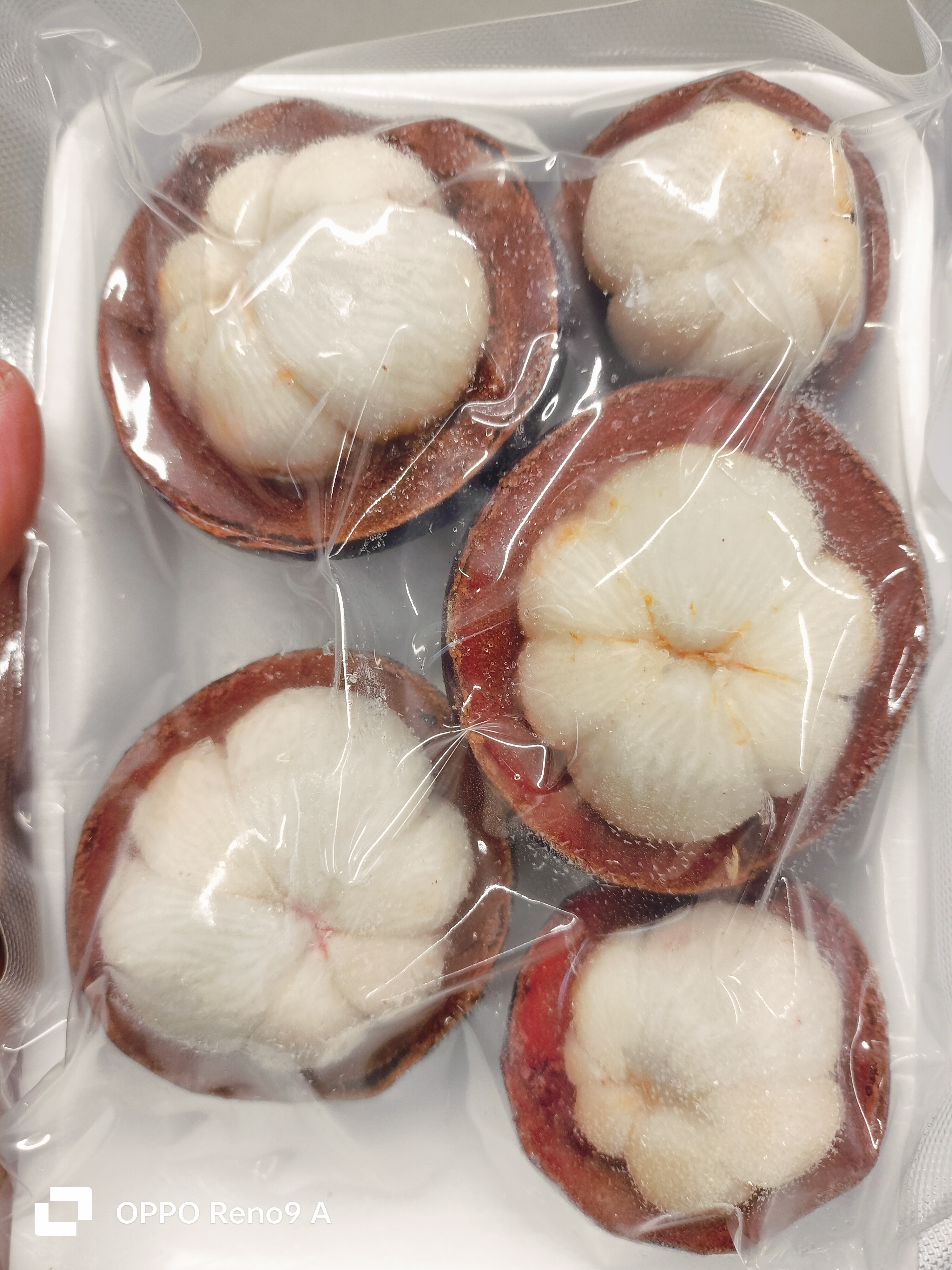 မင်းဂွတ်သီး