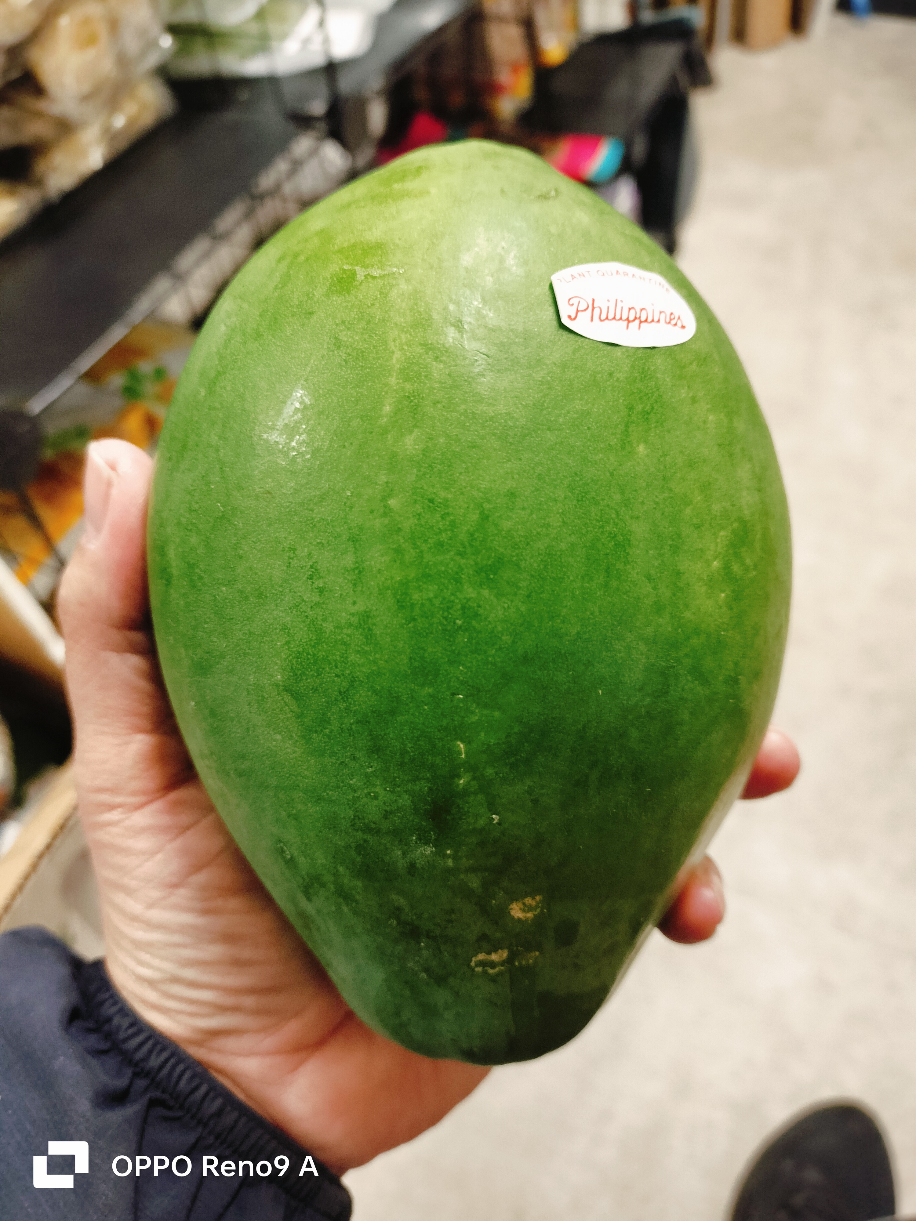 သင်္ဘောသီးစိမ်း (L)