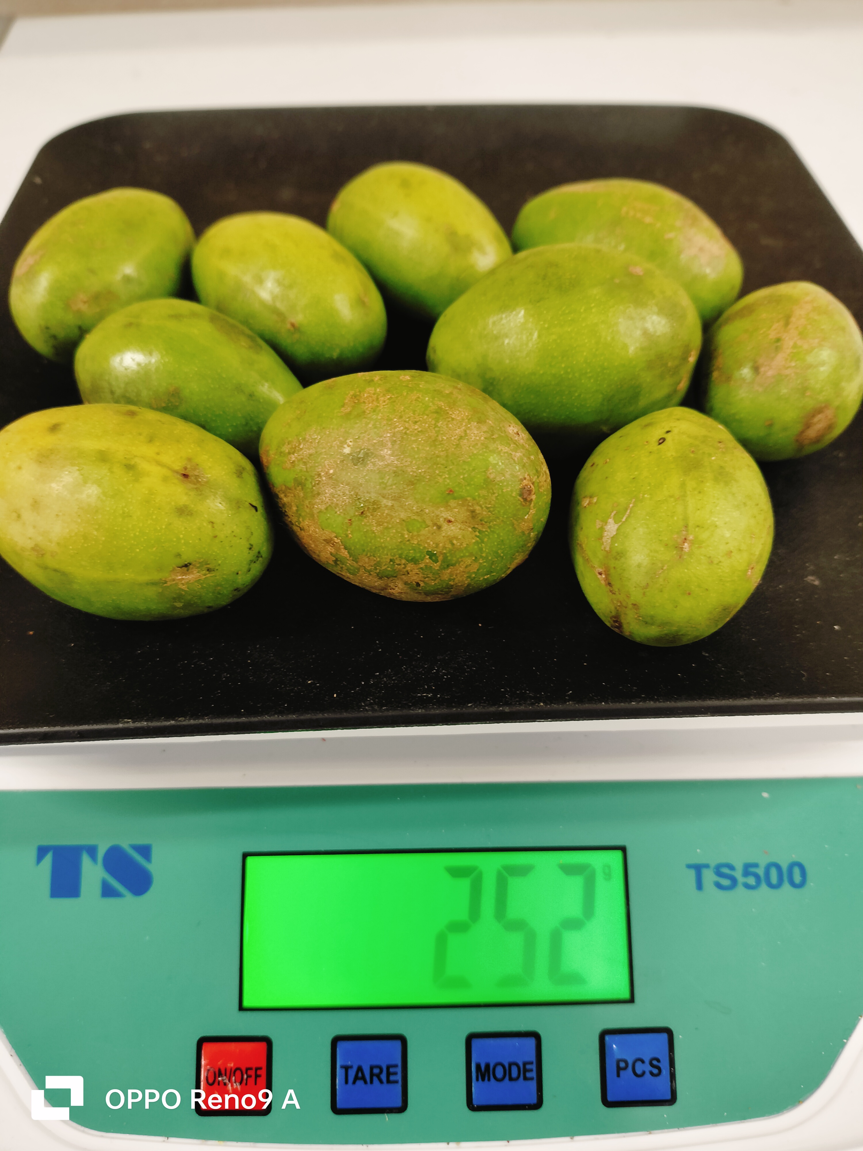 ဂွေးသီးစိမ်း