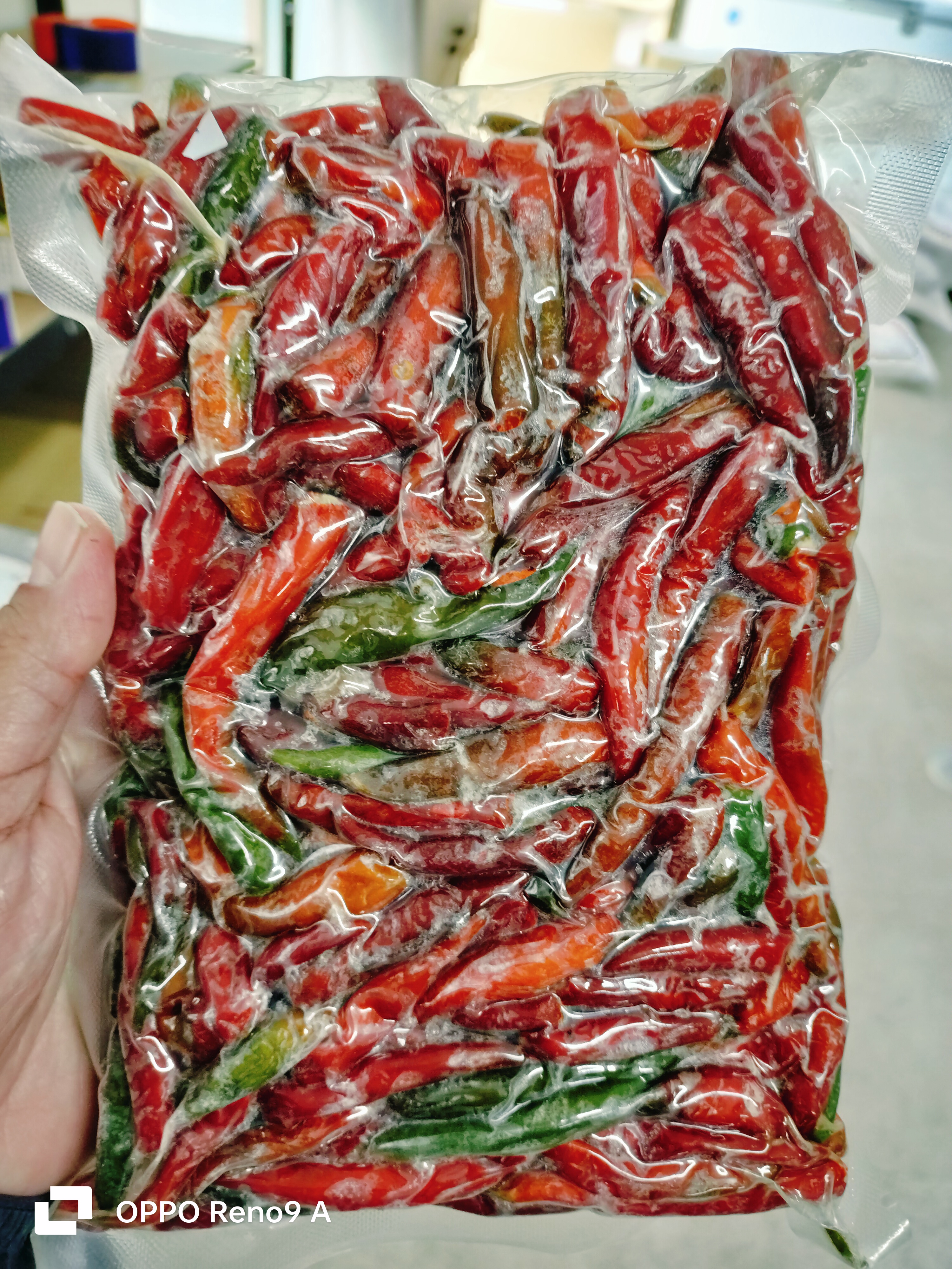 ❄️ငရုတ်သီးနီ/စိမ်းအရော(အခဲ)