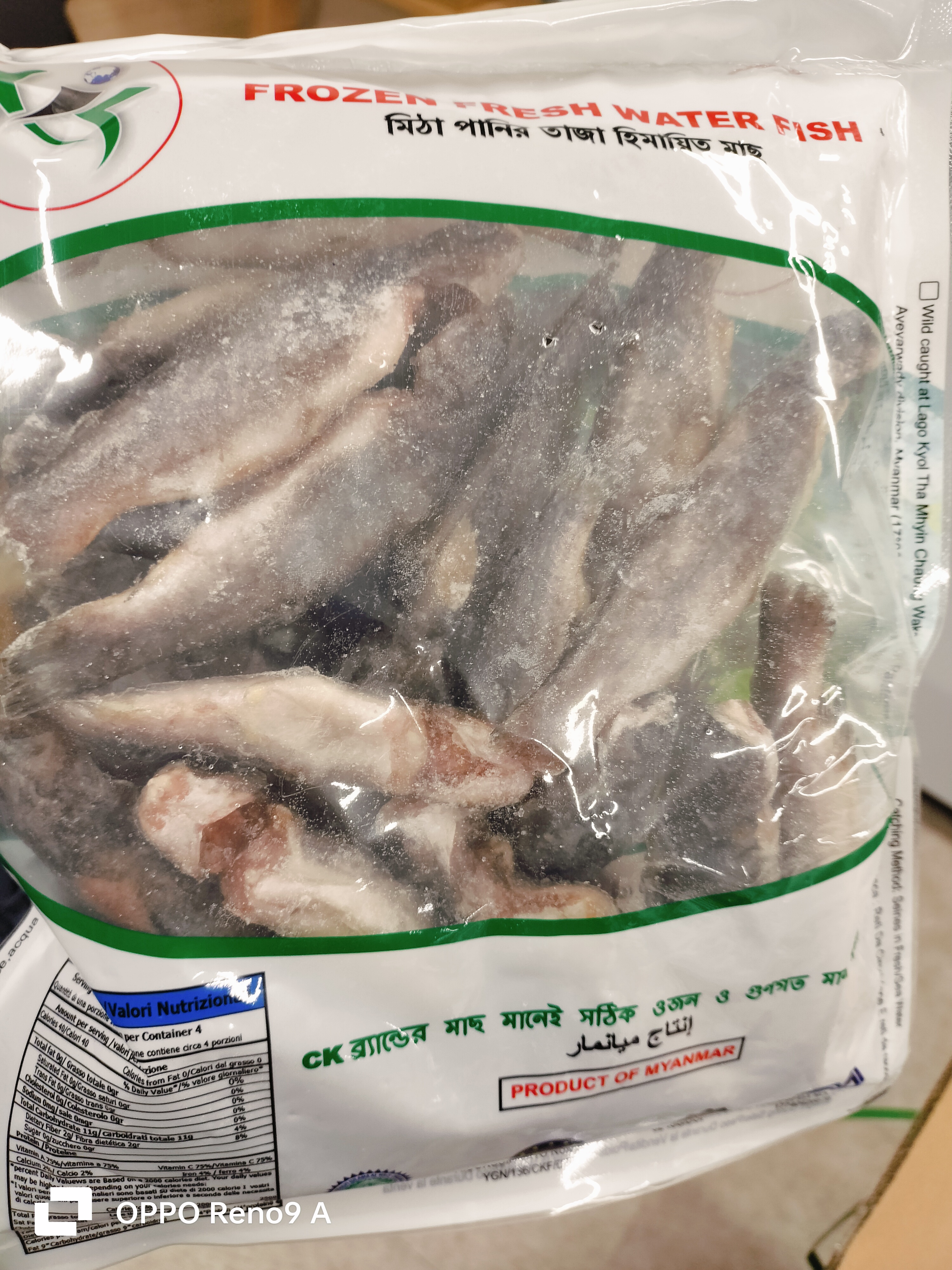 ငါးဇင်ရိုင်း