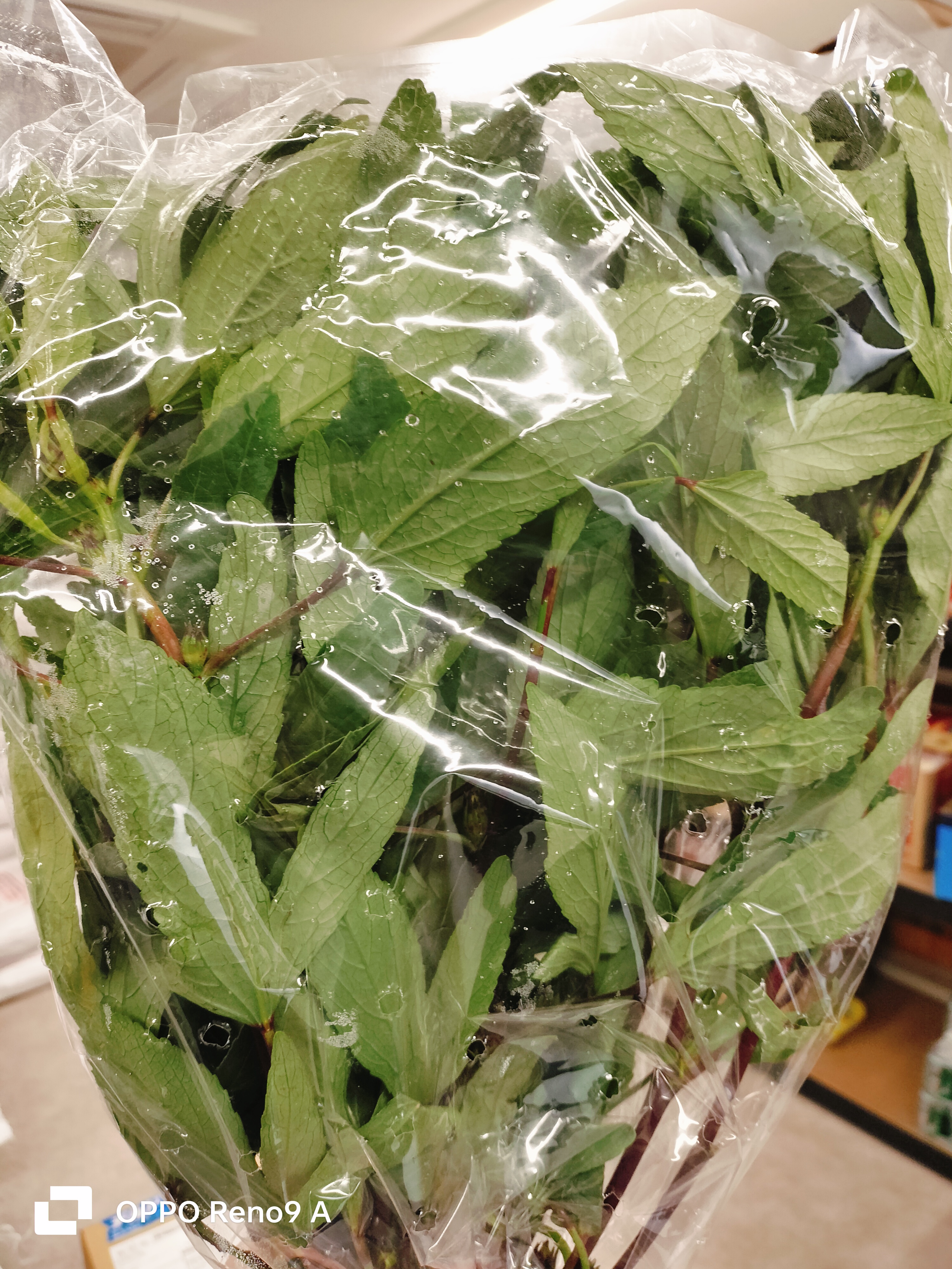 ချဉ်ပေါင်fresh(250g)