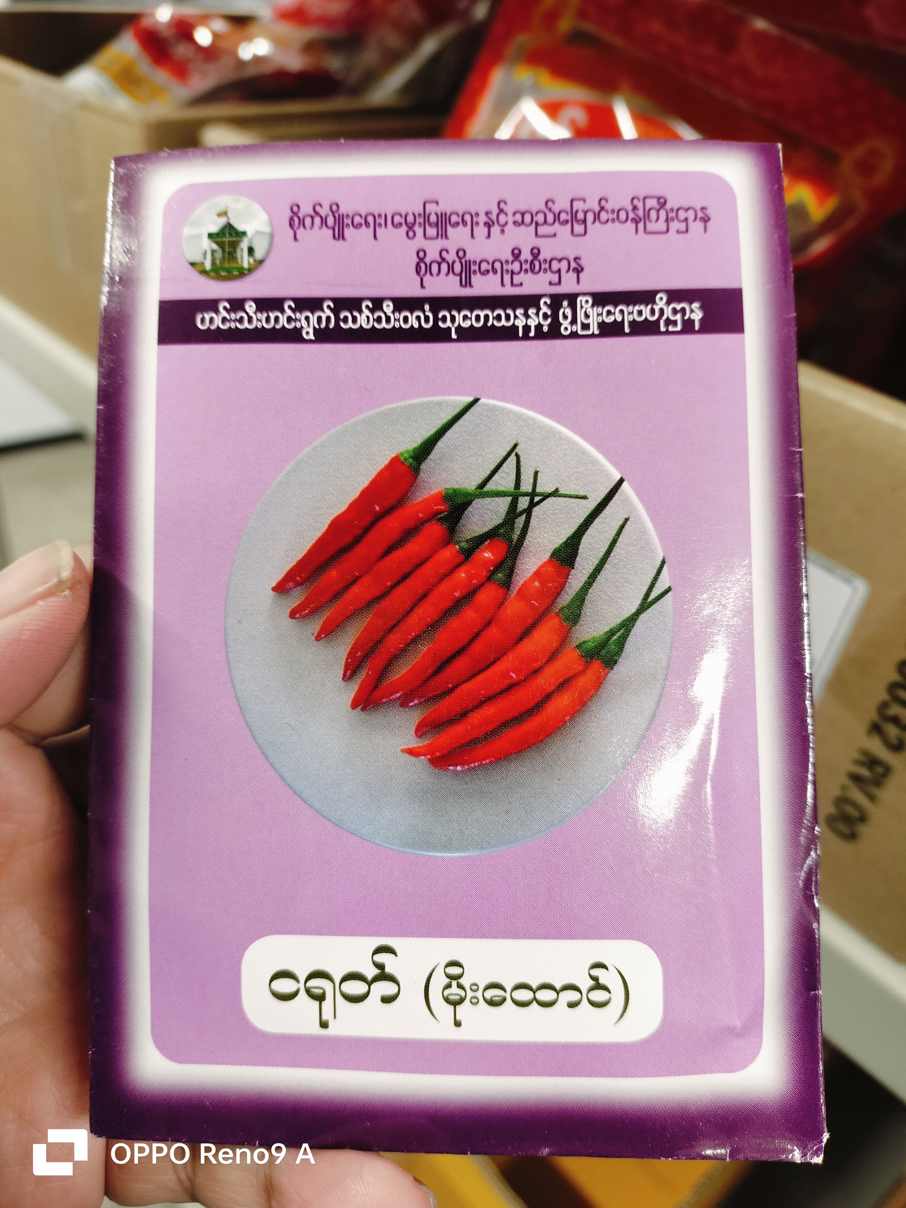 ငရုတ်မျိုးစေ့ (မိုးထောင်)