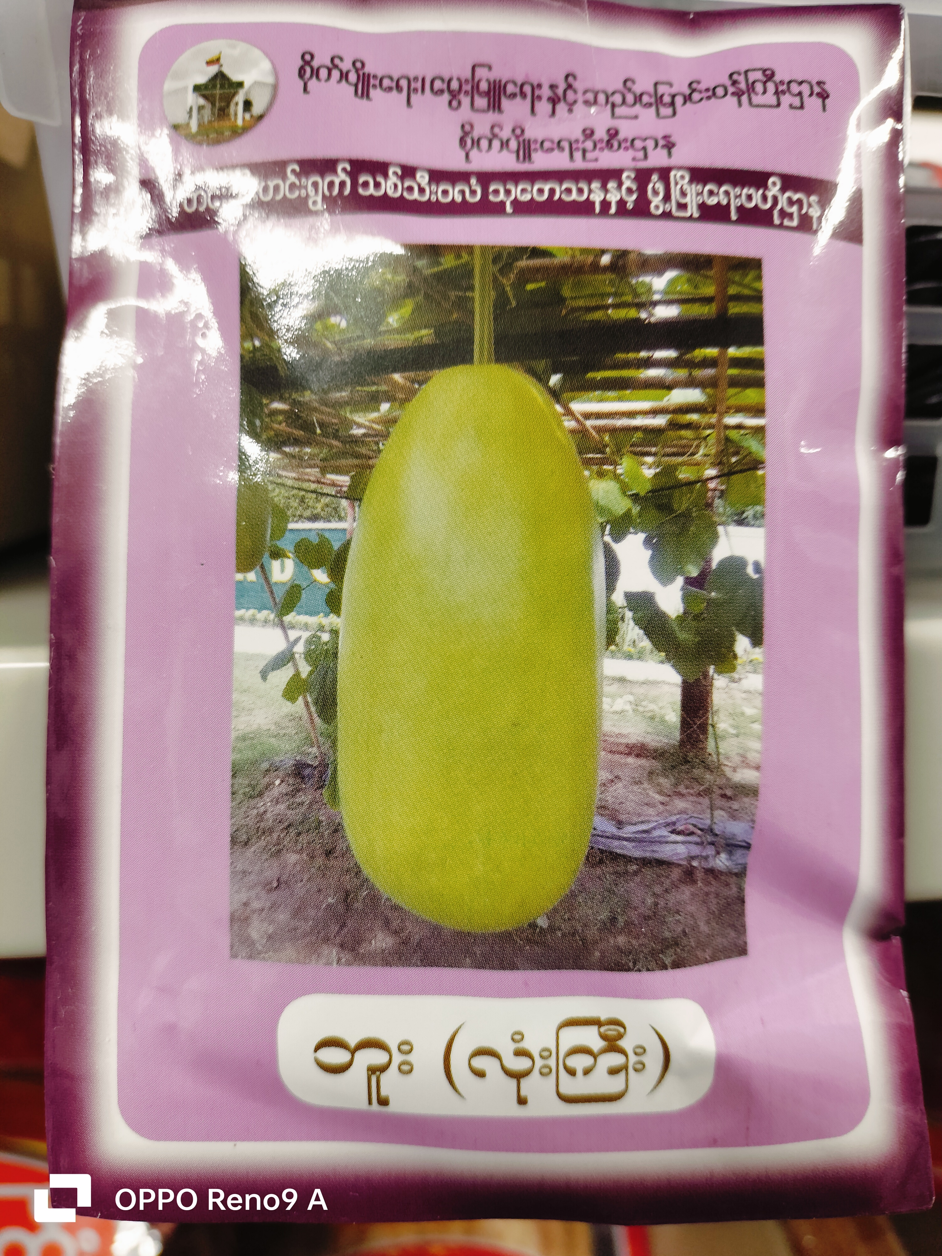 ဘူးသီးမျိုးစေ