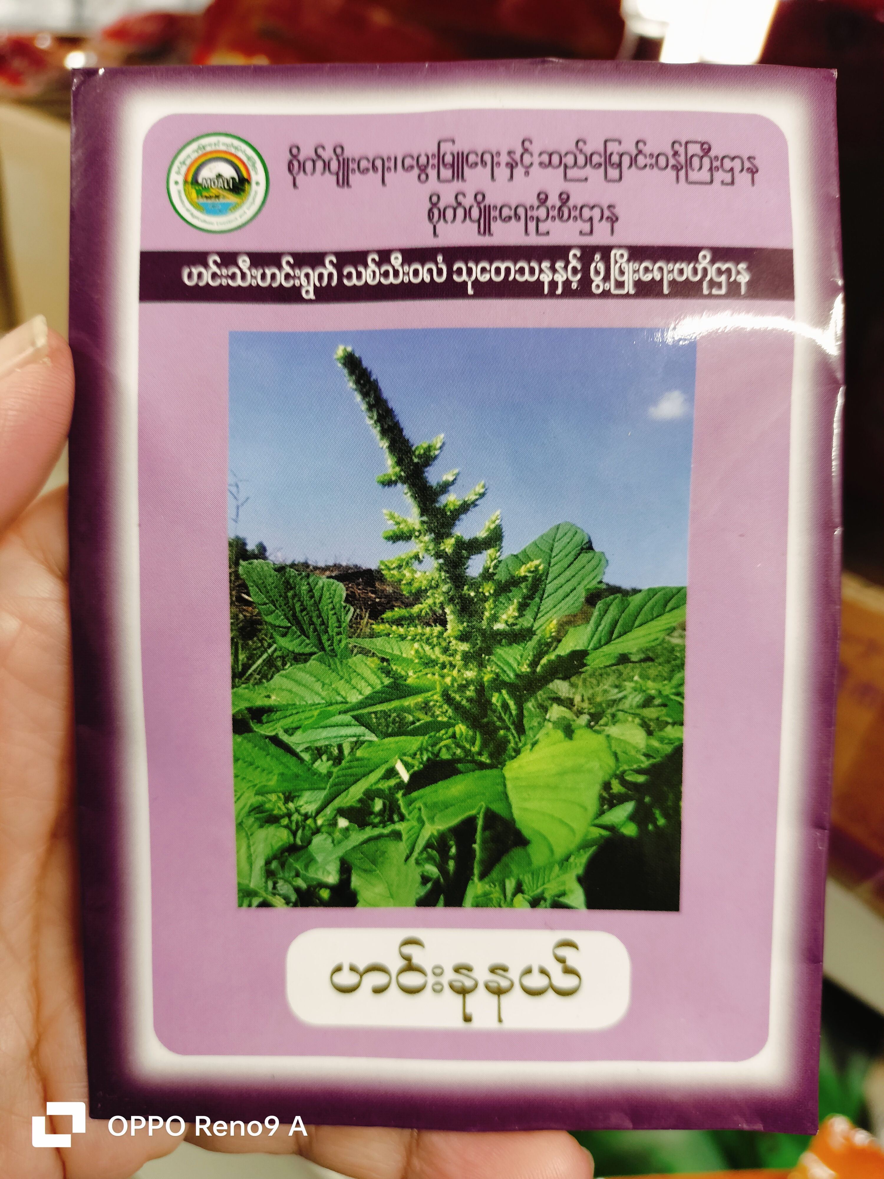 ဟင်းနု့နယ်မျိုးစေ့