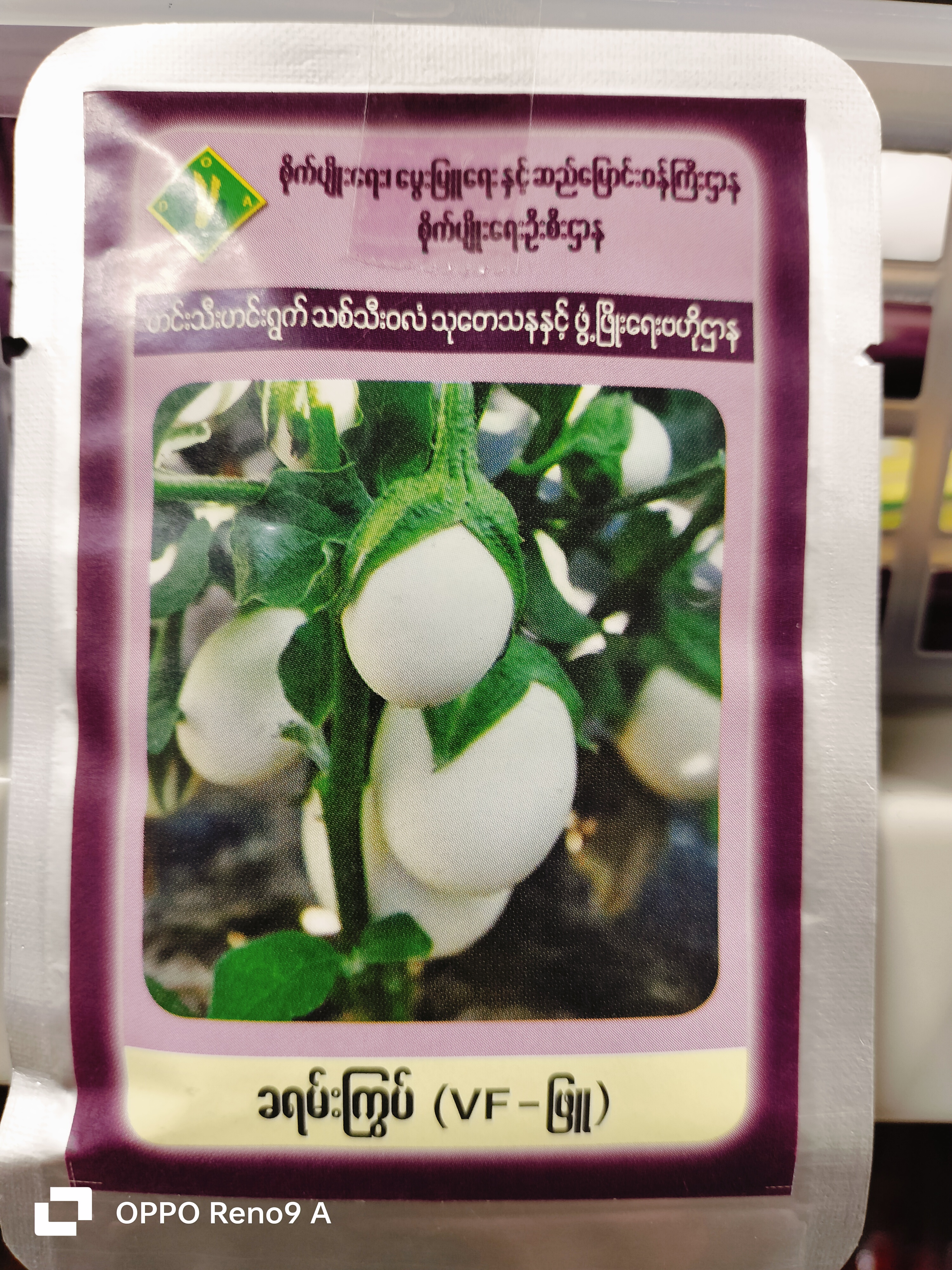 ခရမ်းကြွပ်မျိုးစေ့