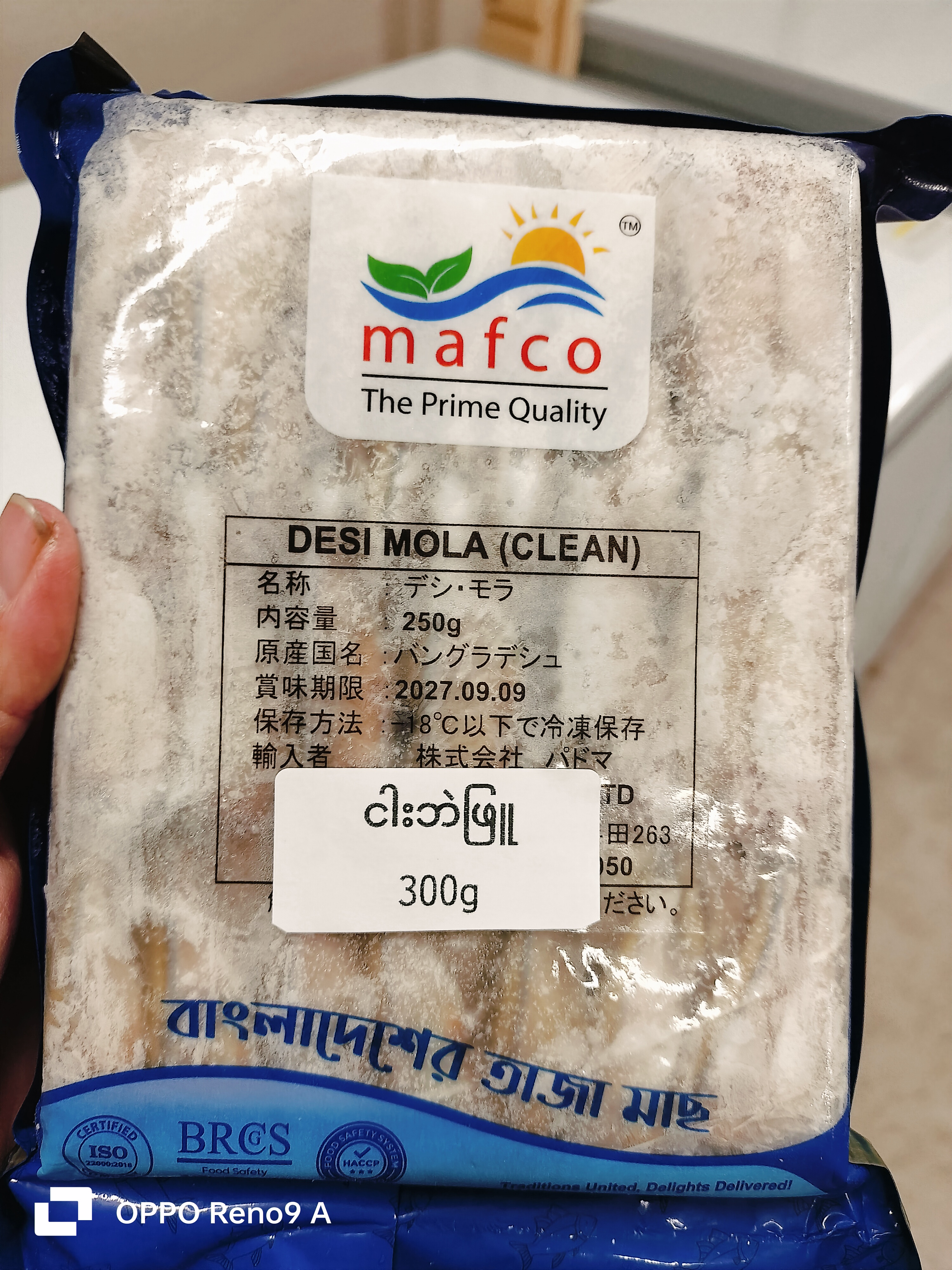 ❄️ငါးဘဲဖြူ