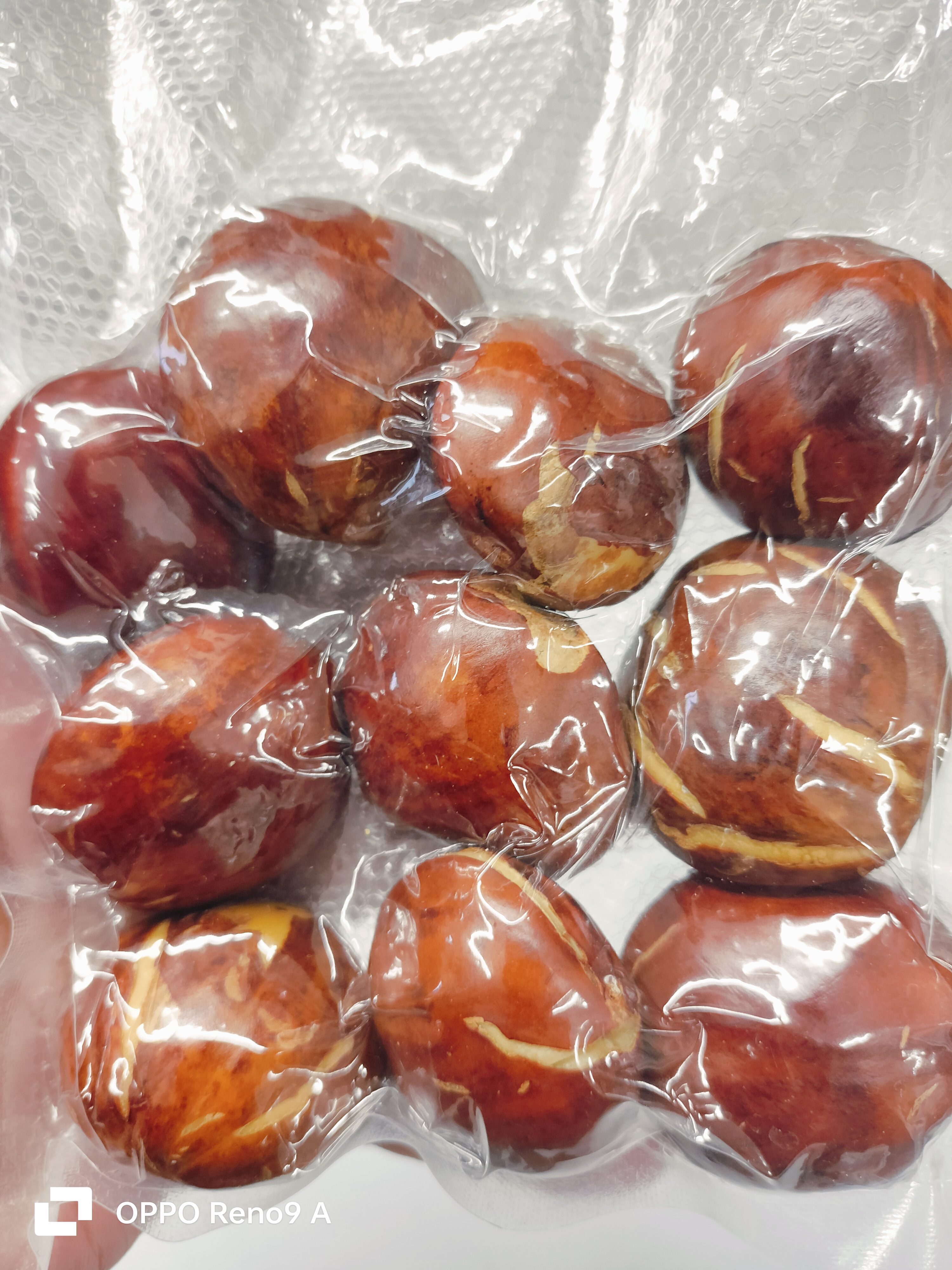 ရှယ်တညင်းသီး