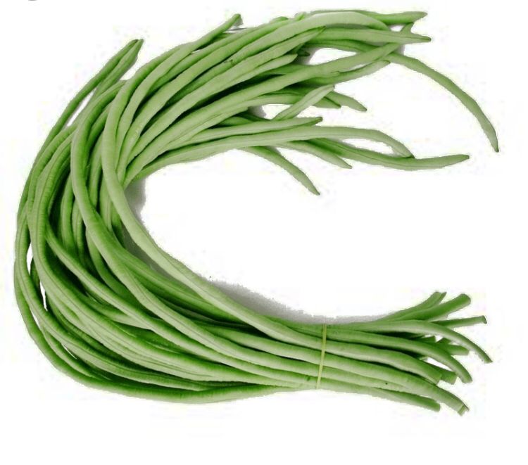 ပဲတောင့်ရှည်