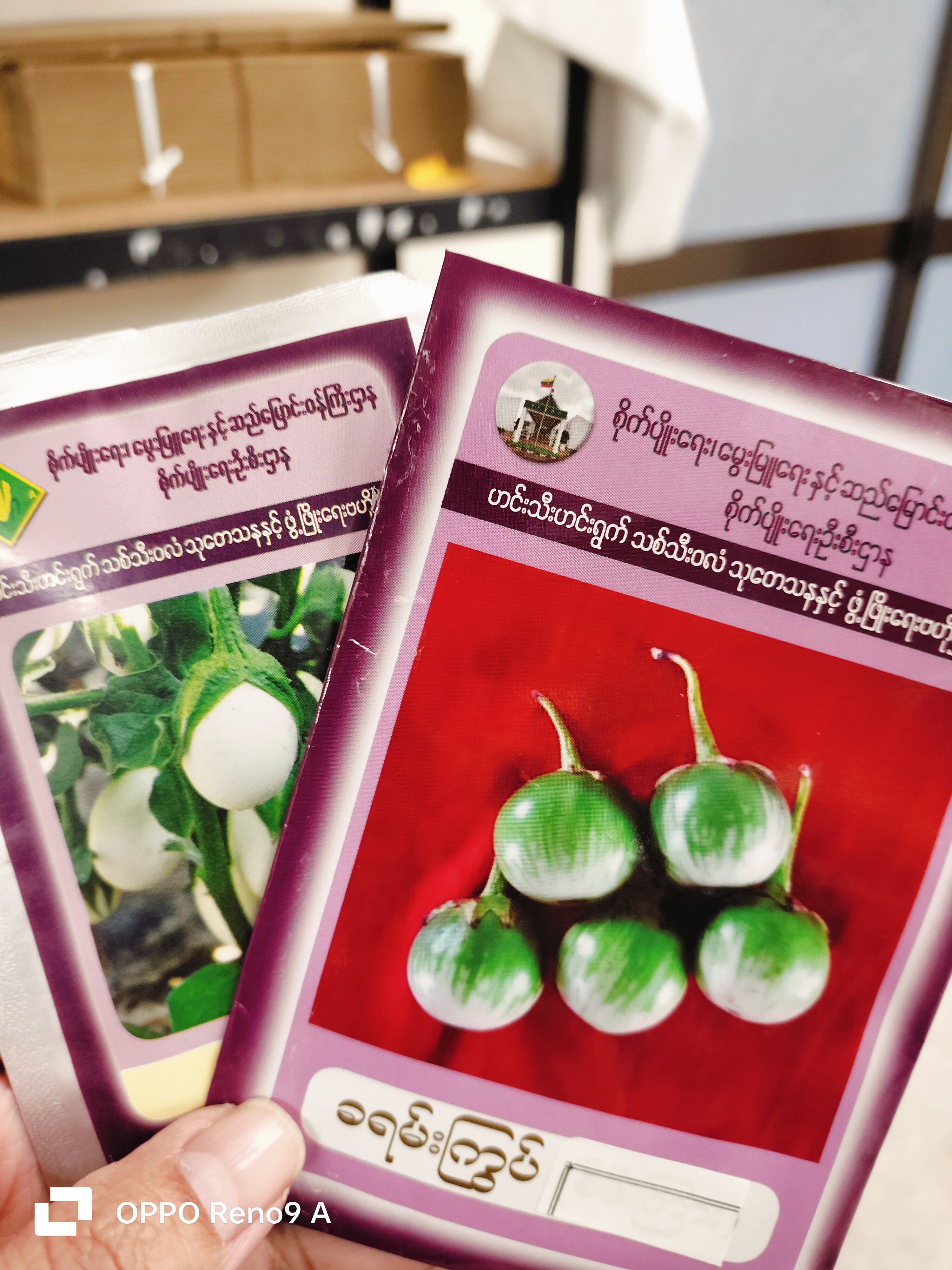 ခရမ်းကြွပ်မျိုးစေ့