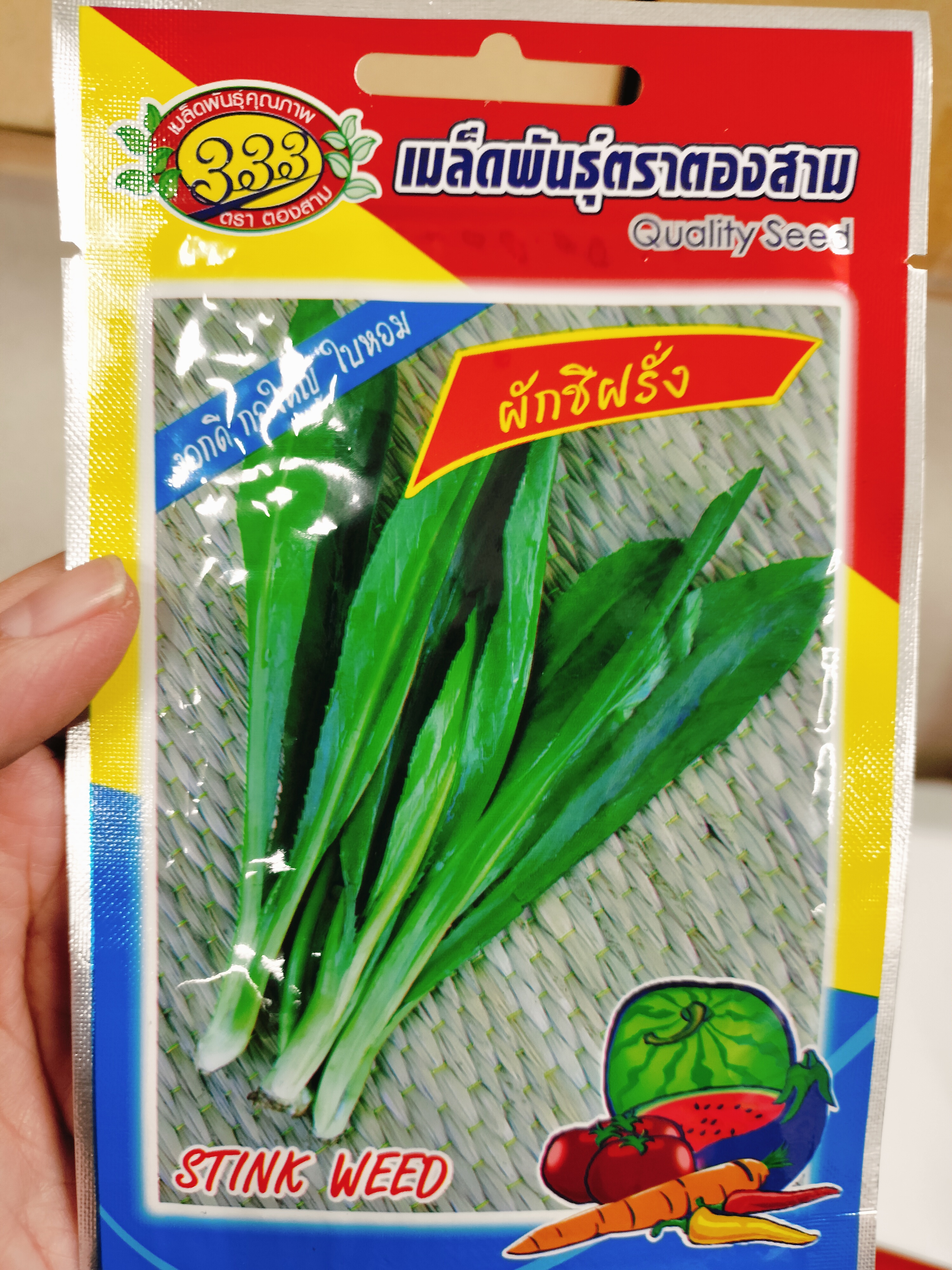 ရှမ်းနံနံမျိုးစေ့