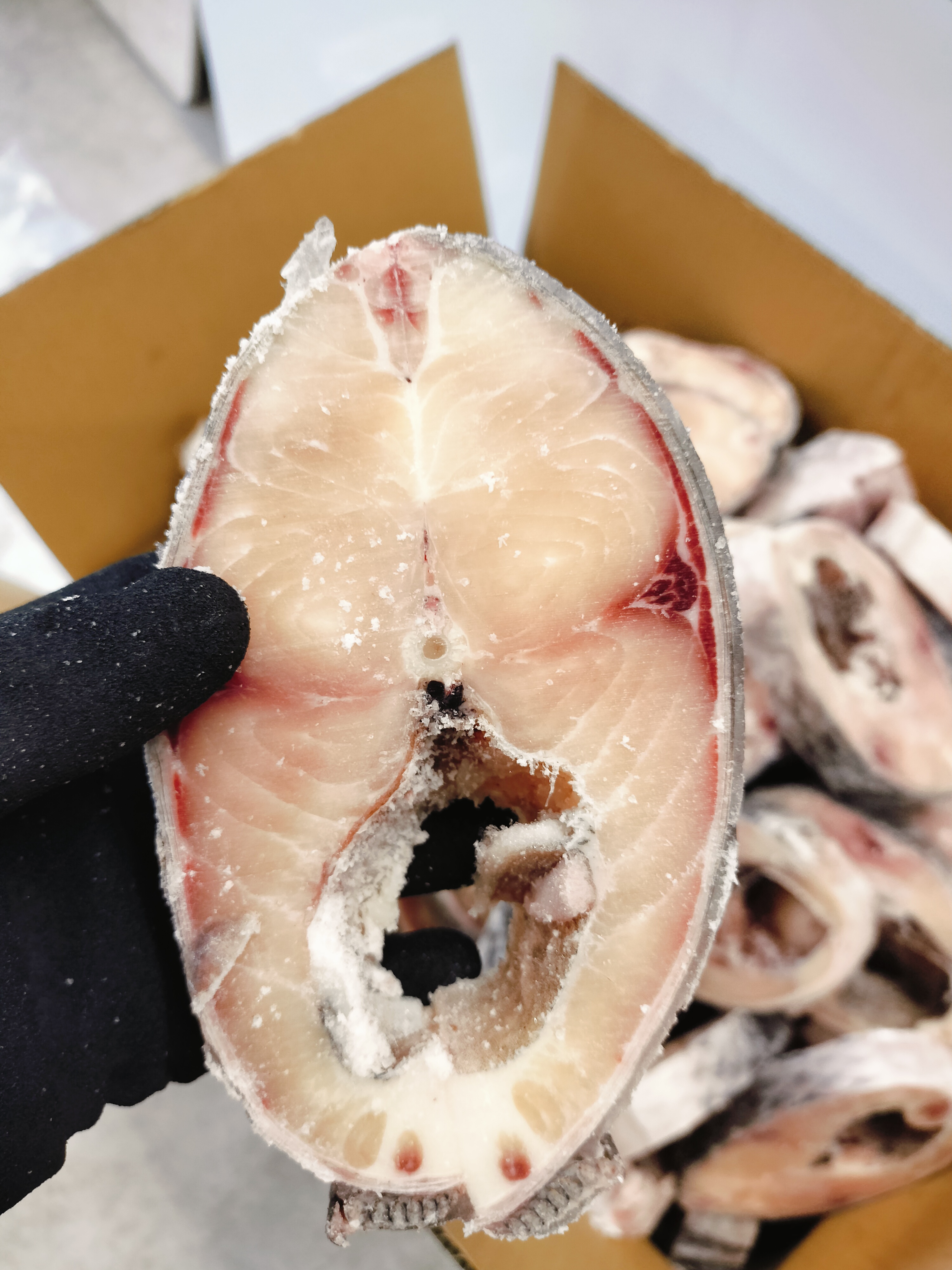 ❄️ငါးကြင်းဖြူ(အသားကွင်း1kg)