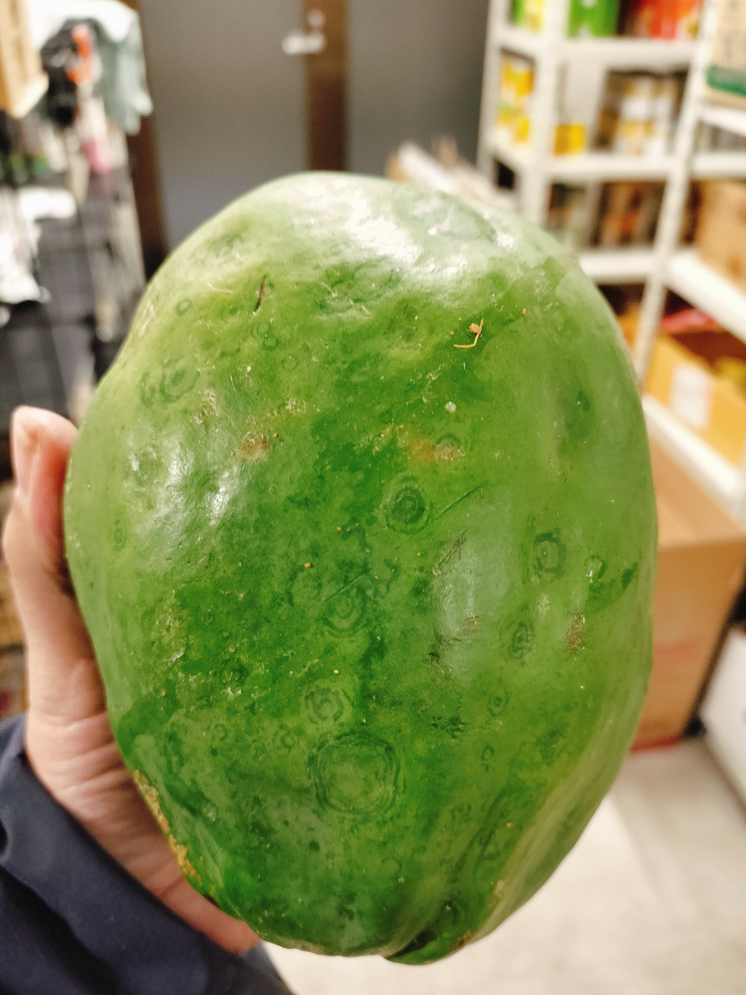 သင်္ဘောသီးစိမ်း M