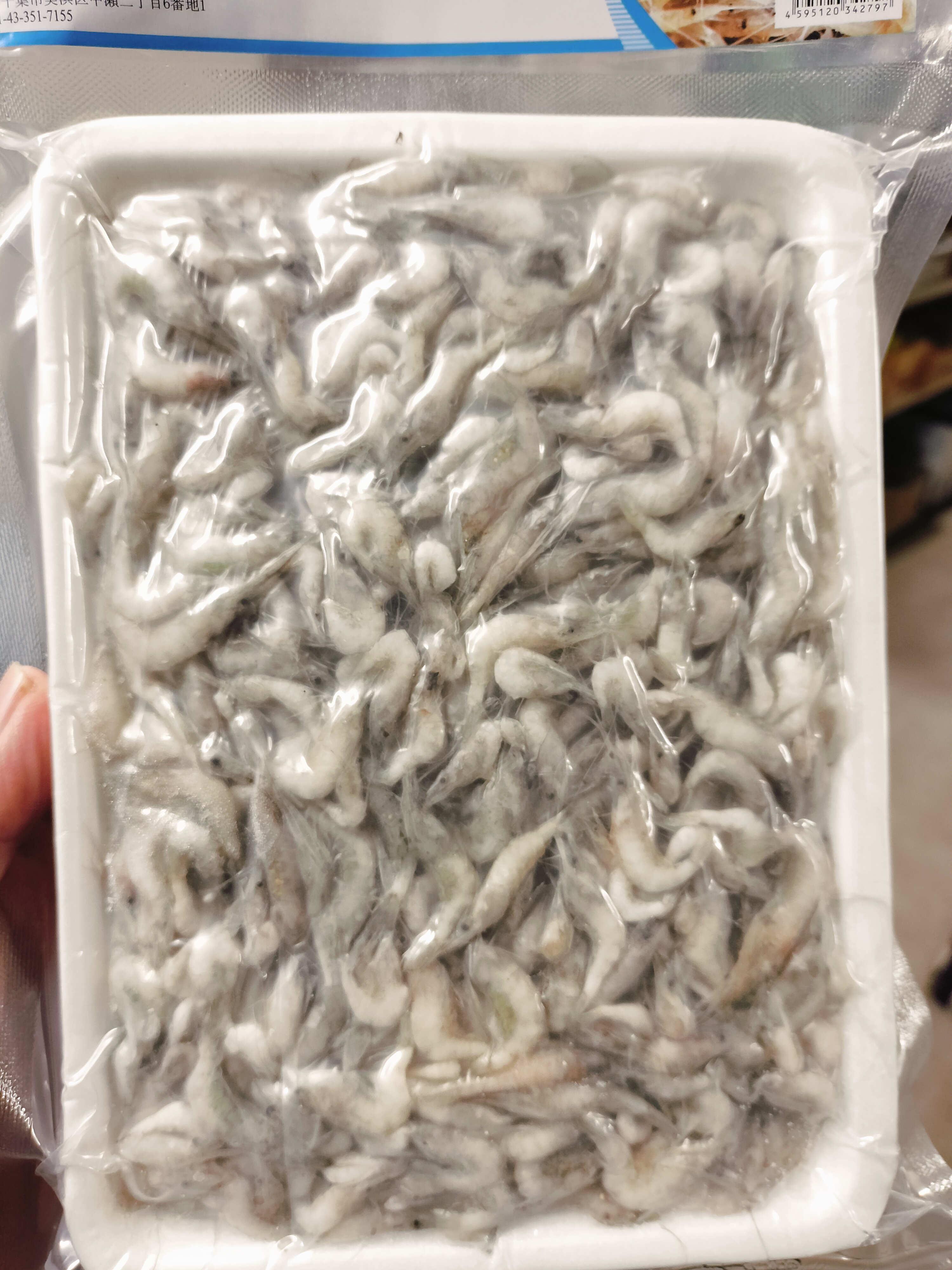 ပုဇွန်ဆိတ်သေး