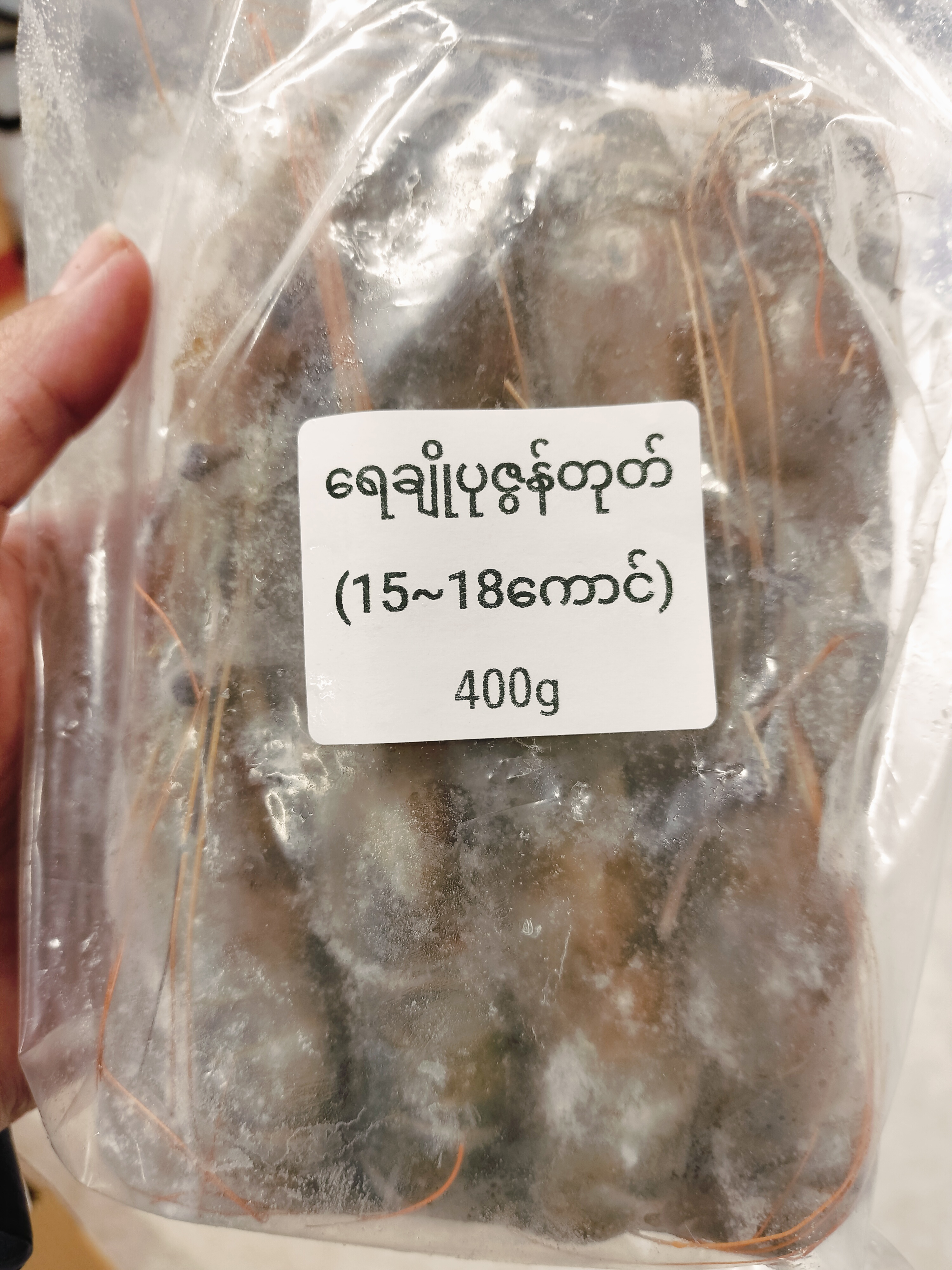 ❄️ပုဇွန်တုတ်