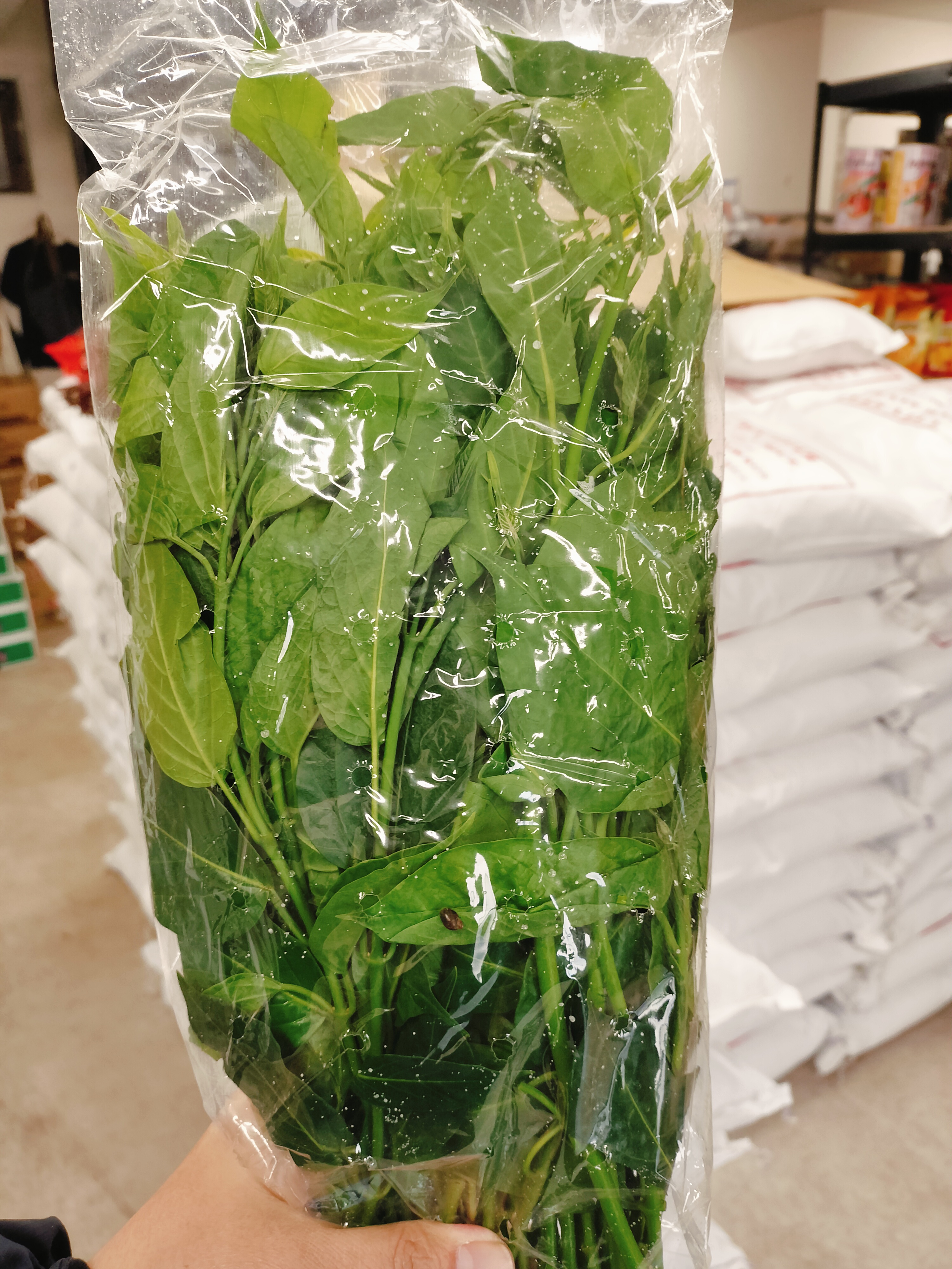 ဂွေးတောက်ရွက်fresh(250g)