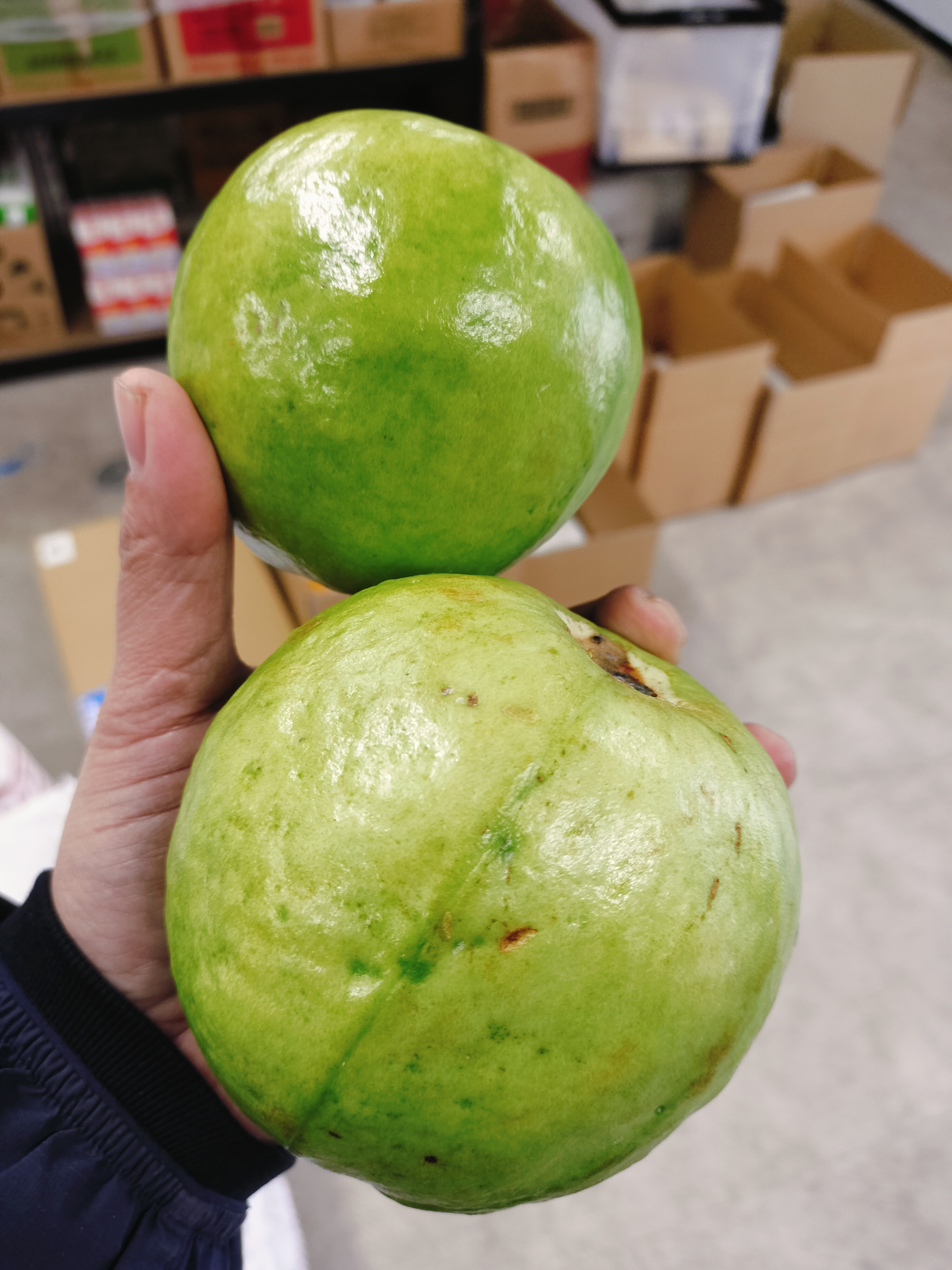 မာလကာသီးM