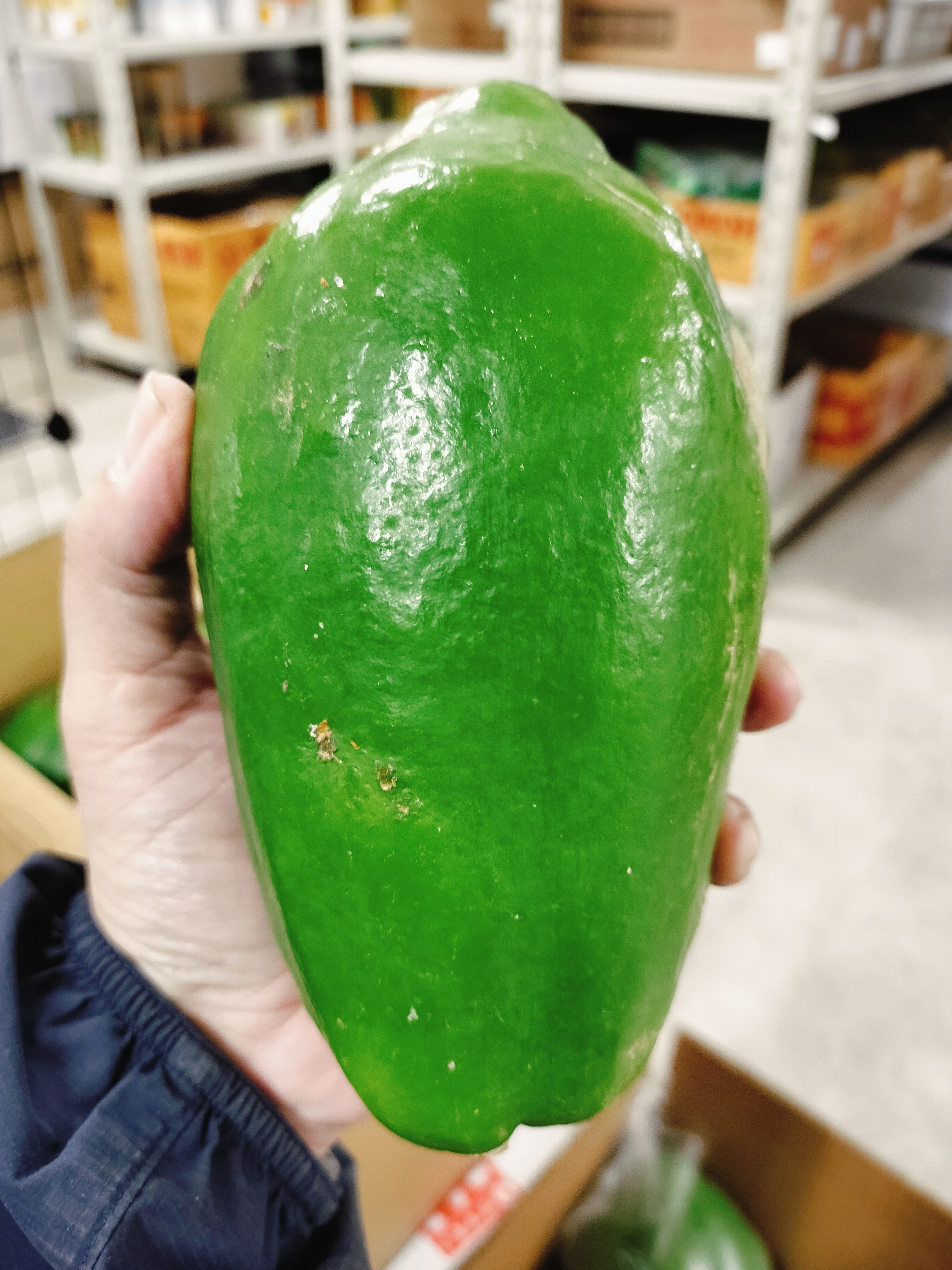 သင်္ဘောသီးစိမ်း S