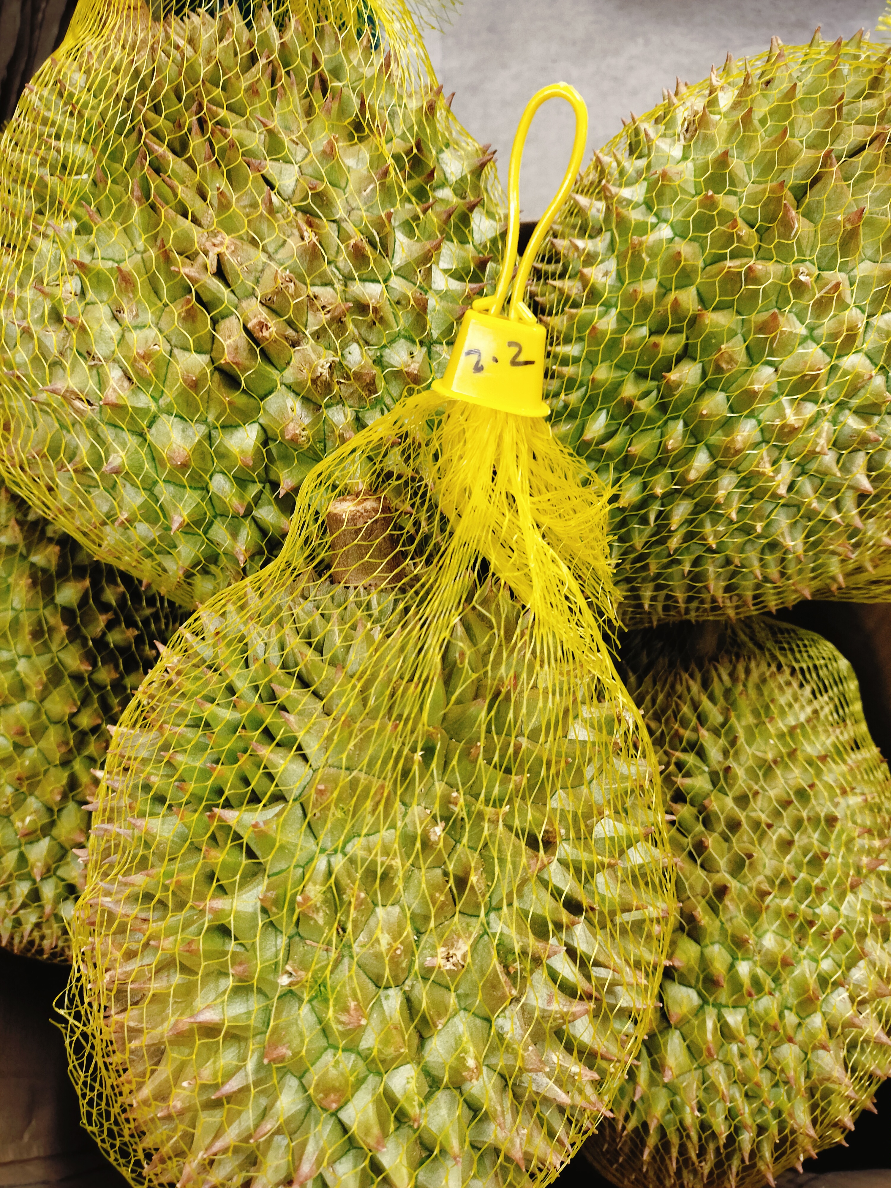 ဒူးရင်းသီး M