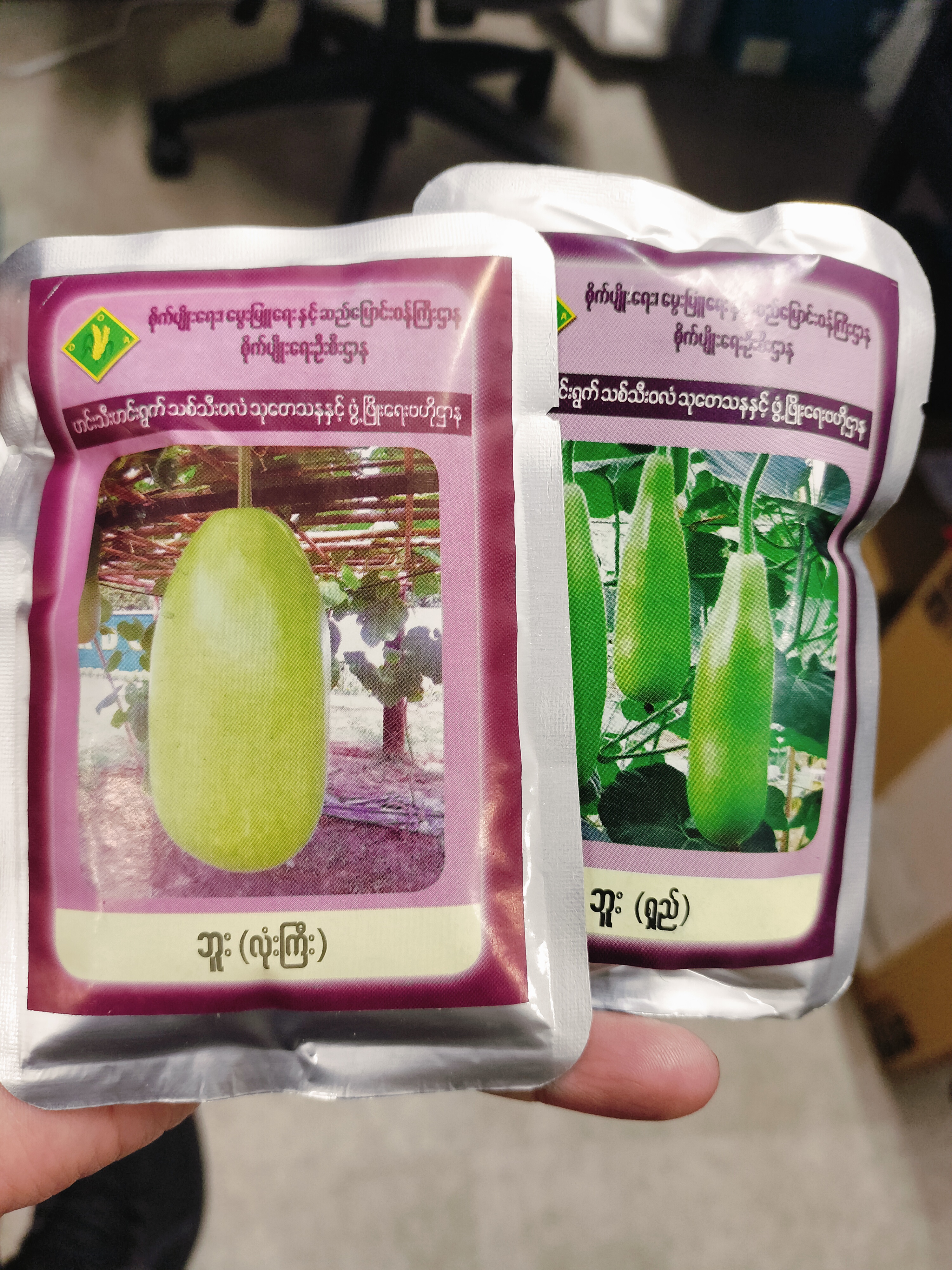 ဘူးသီးမျိုးစေ့