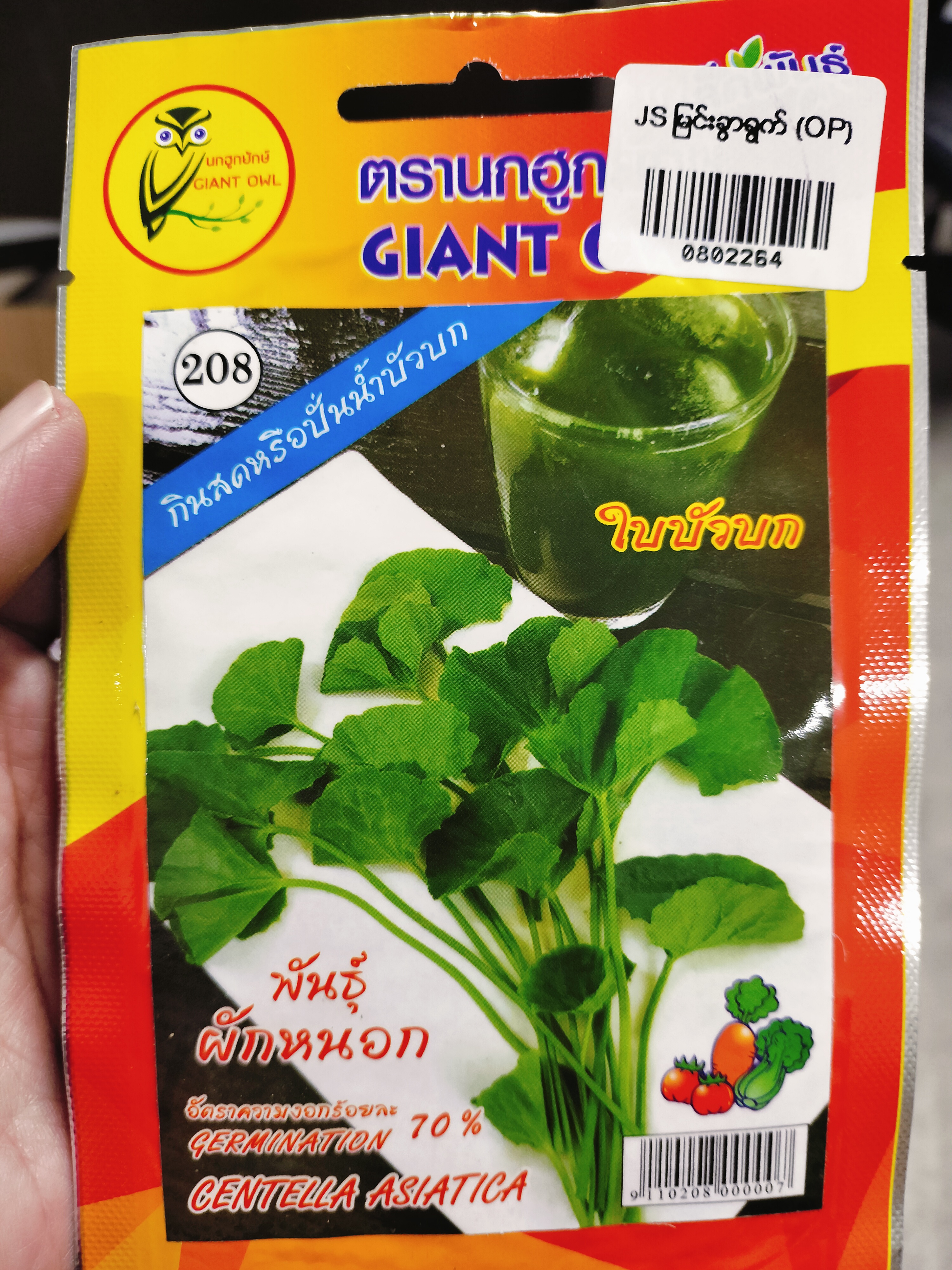 မြင်းခွာရွက်မျိုးစေ့