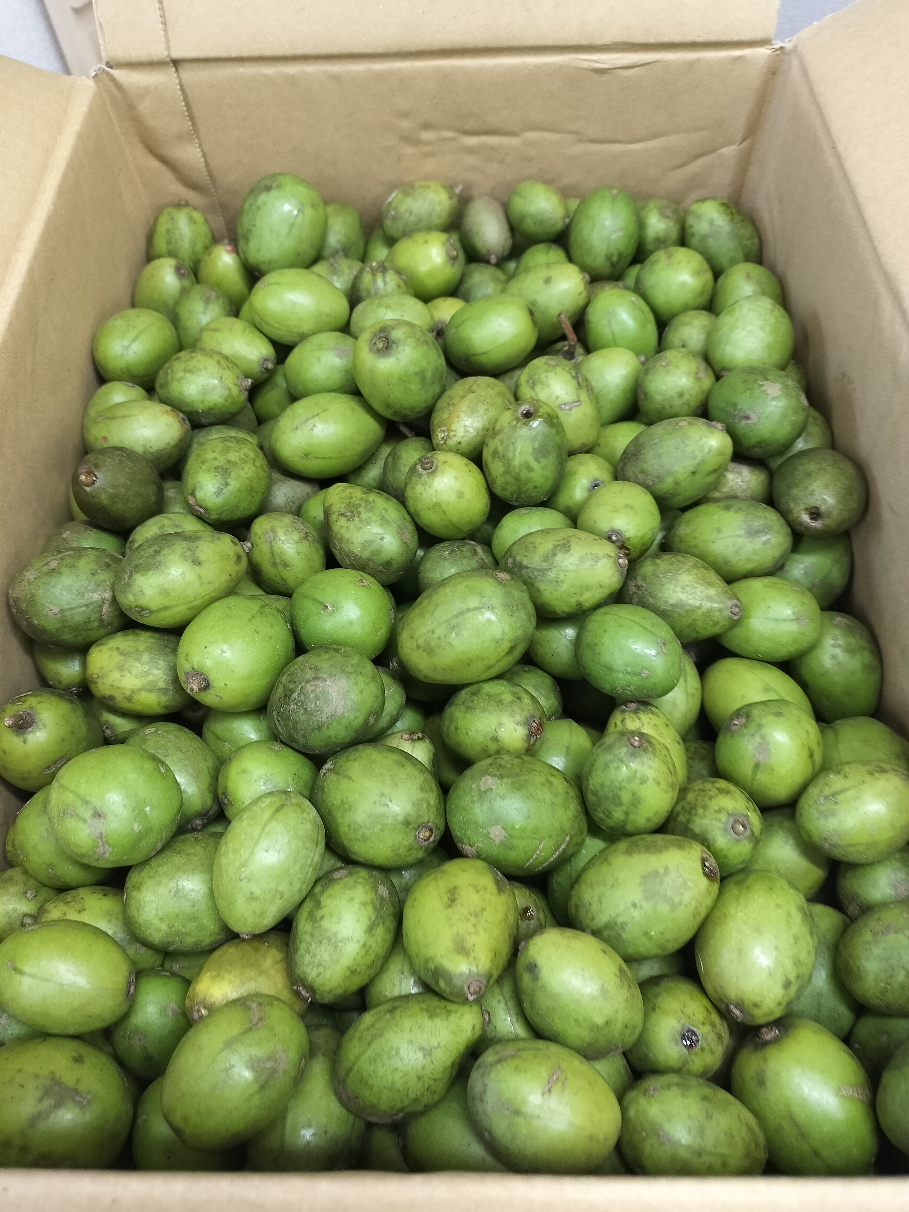 ဂွေးသီးစိမ်း