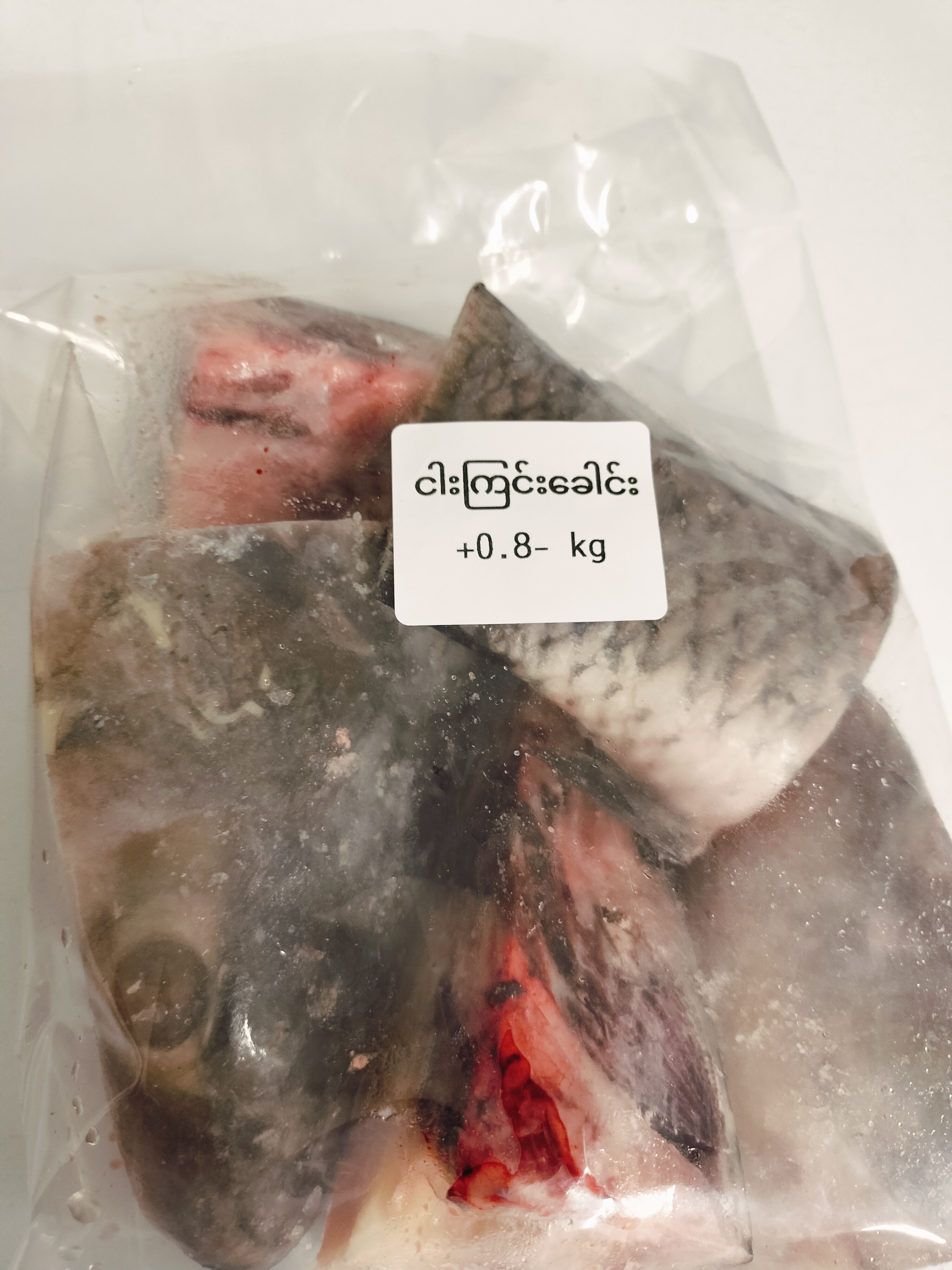 ❄️ငါးကြင်းခေါင်း