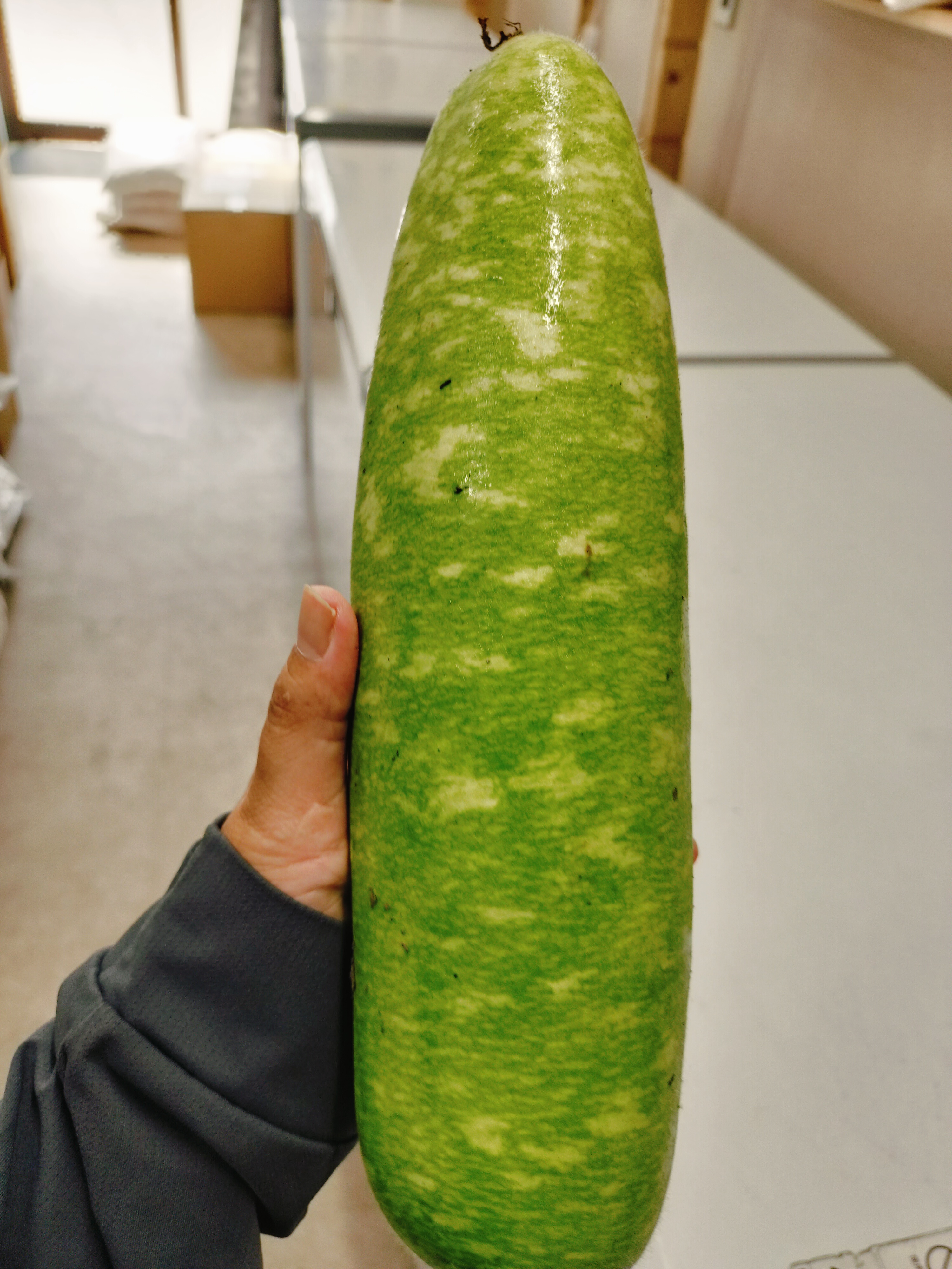 ဘူးသီး တလုံး(-1.0+kg)