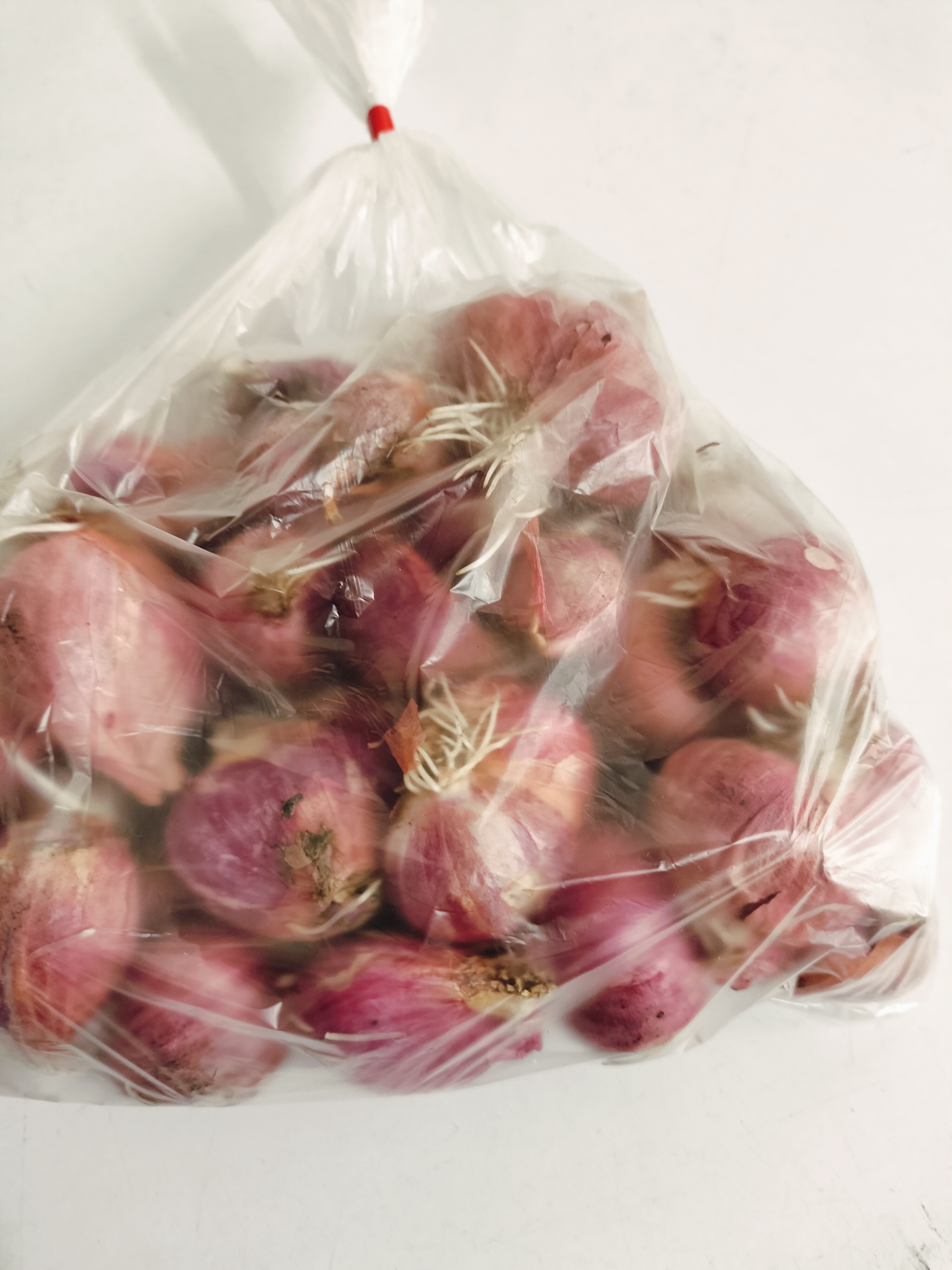 ကြက်သွန်နီလုံးသေး(500g)