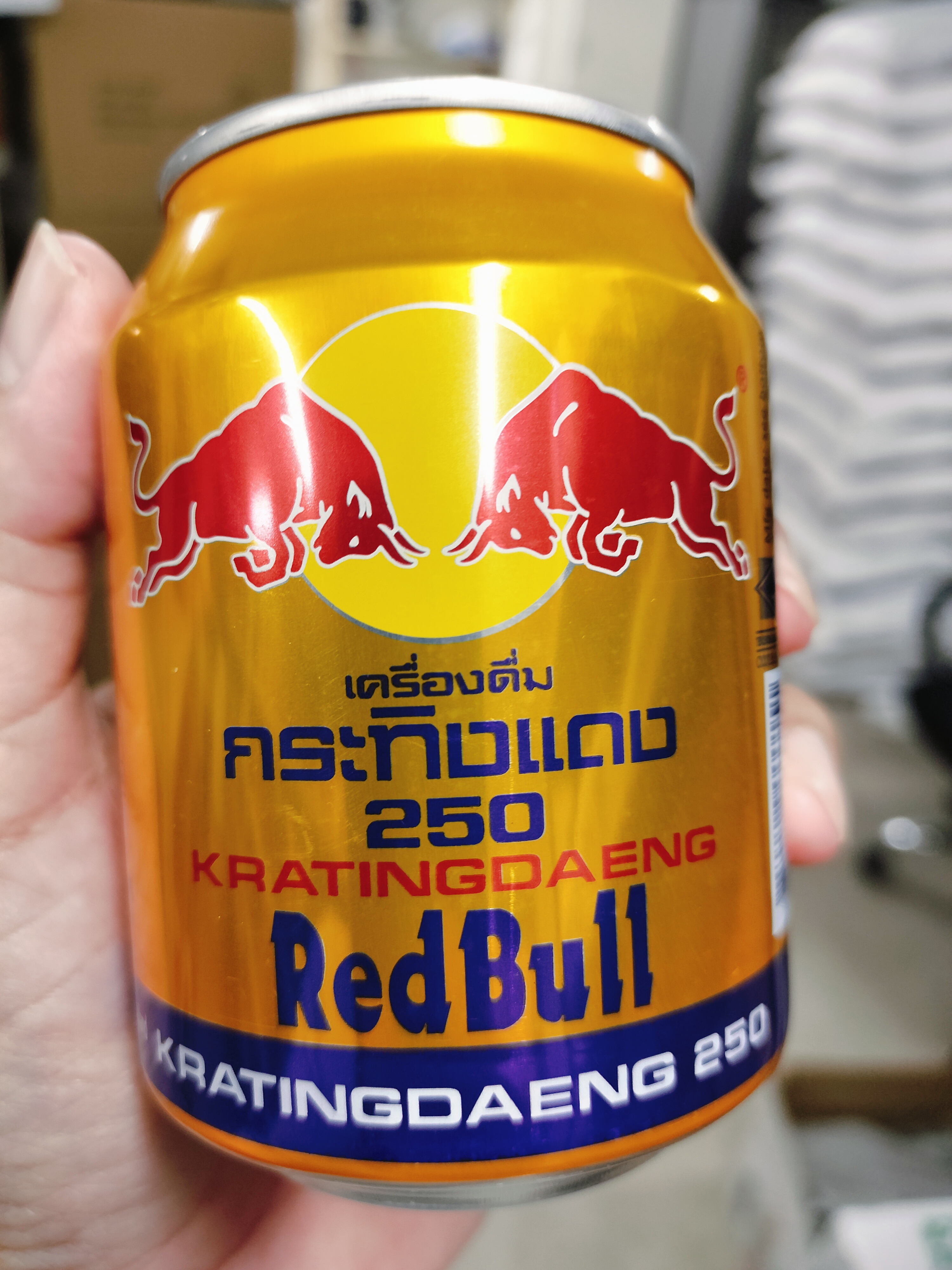 ကျွဲရိုင်းRed bull