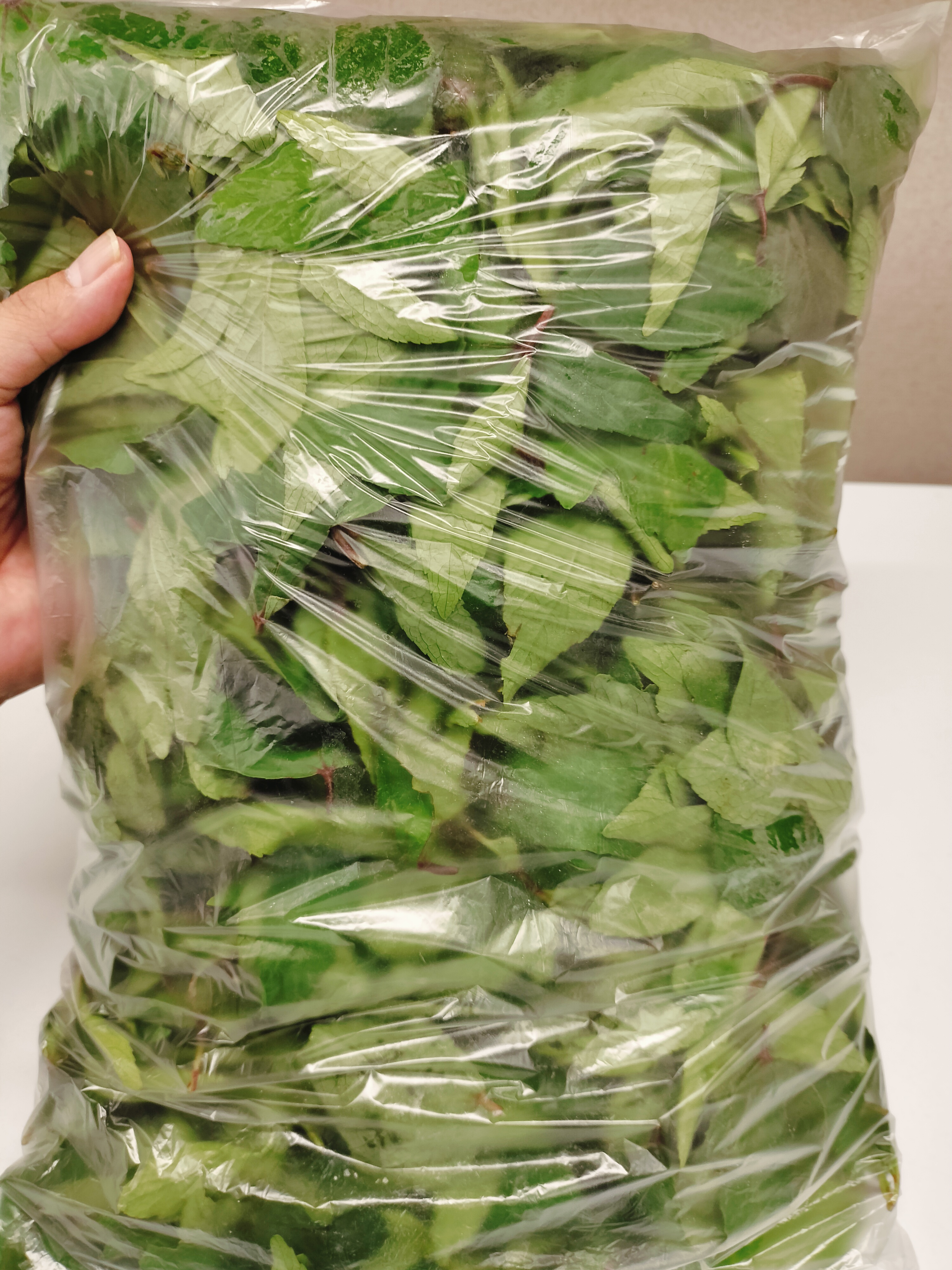 ချဉ်ပေါင်ရွက်fresh(500g)