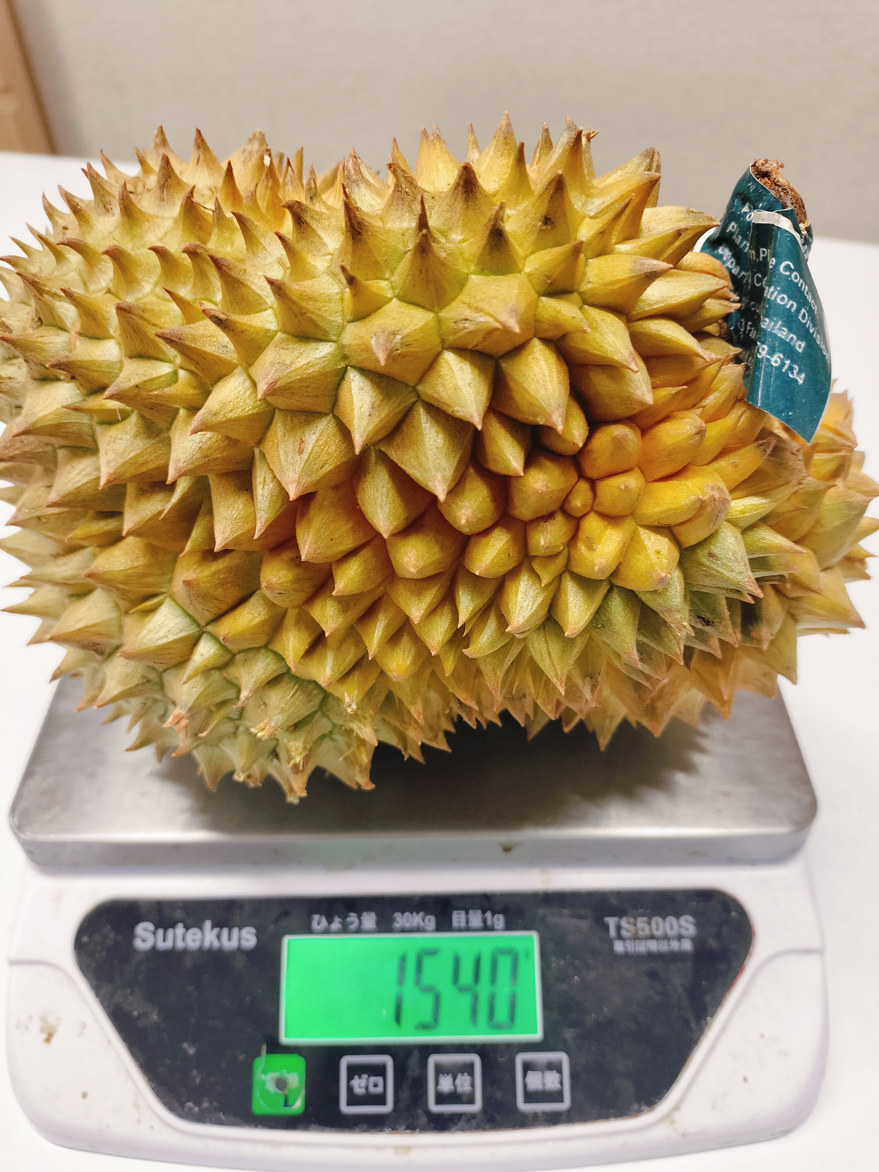 ဒူးရင်းသီးမွန်ထောင်း(-1.5kg+)