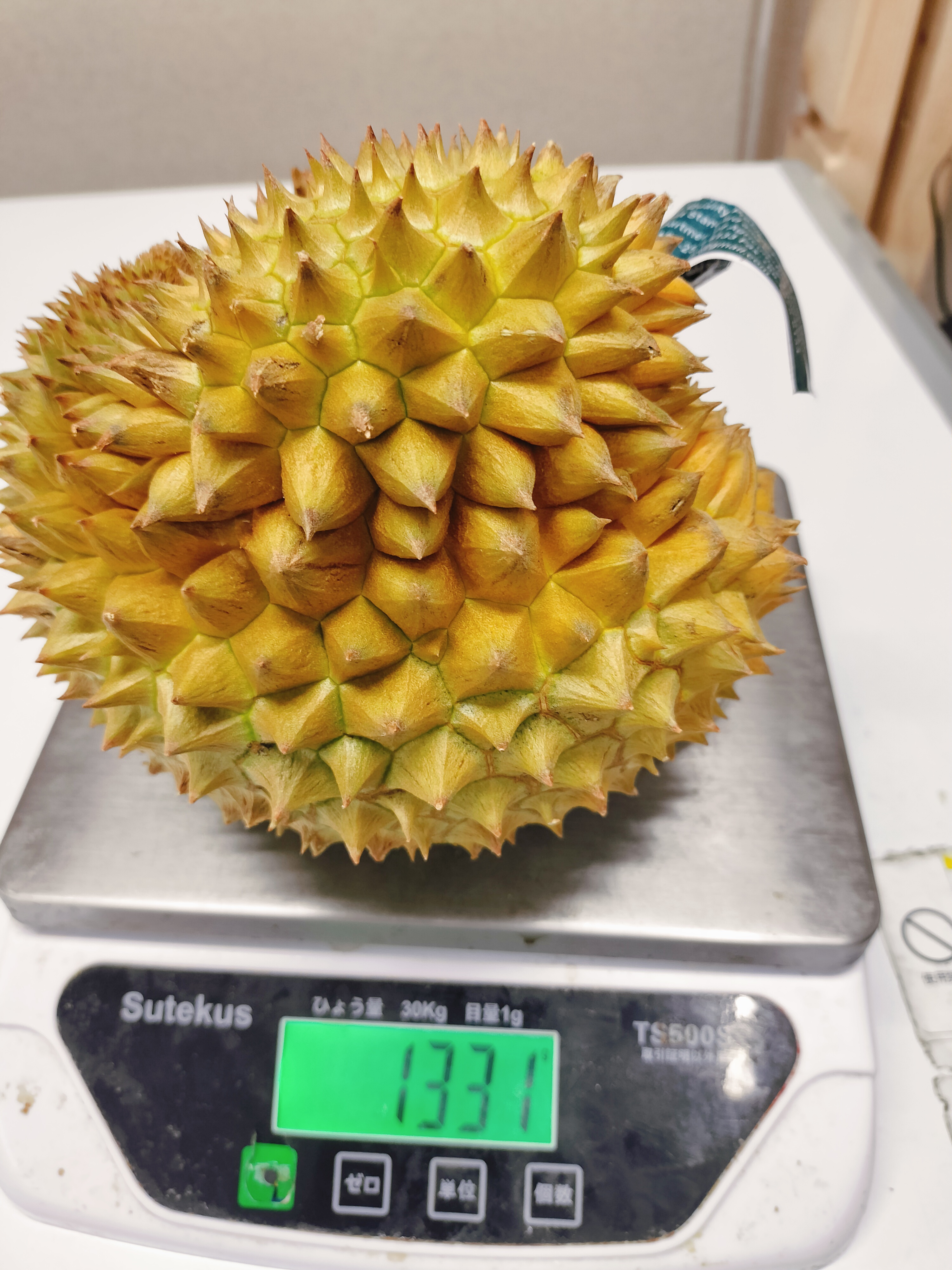 ဒူးရင်းသီးမွန်ထောင်း(-1.2kg+)