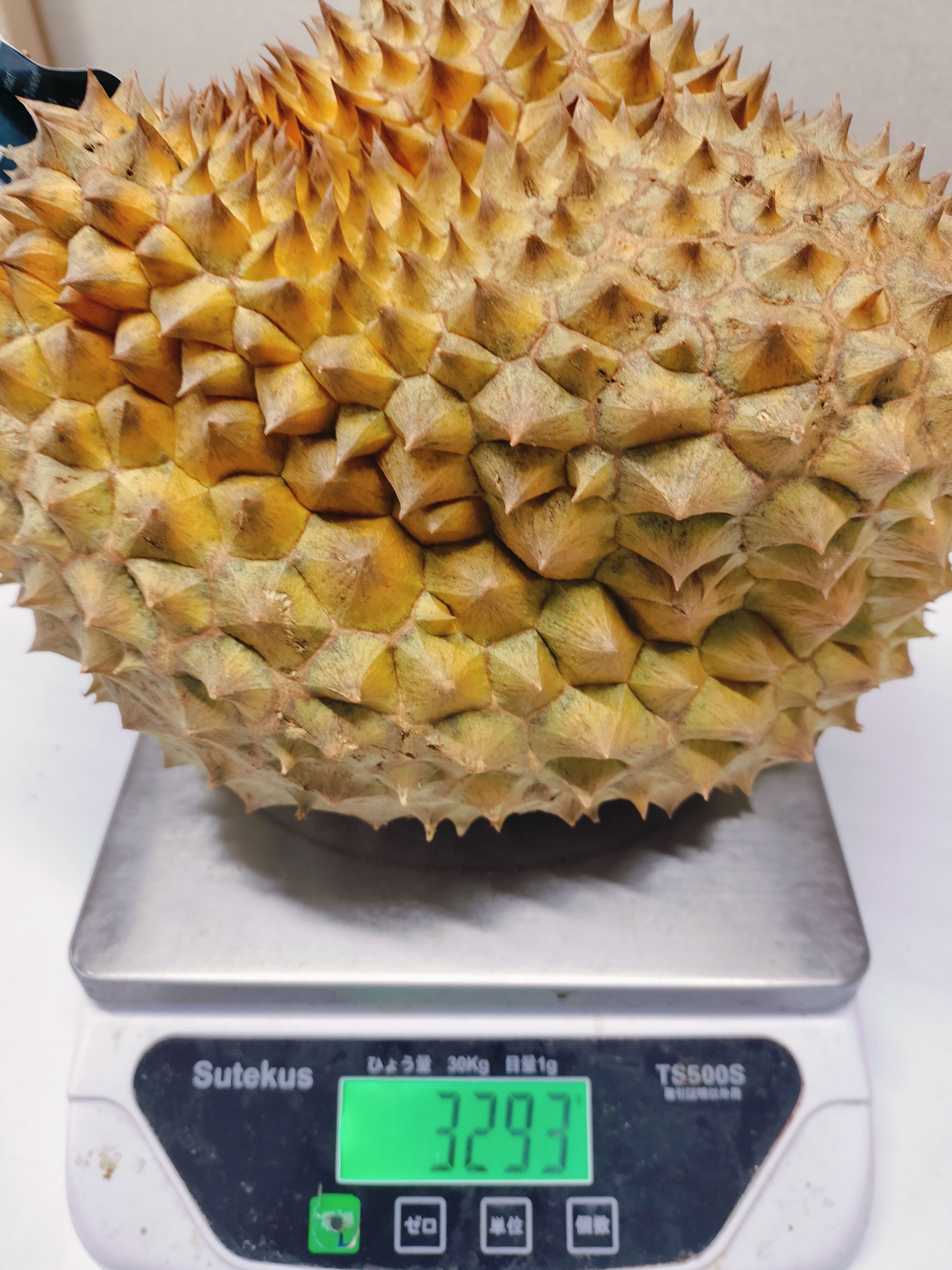 ဒူးရင်းသီးမွန်ထောင်း(-2.6kg+)