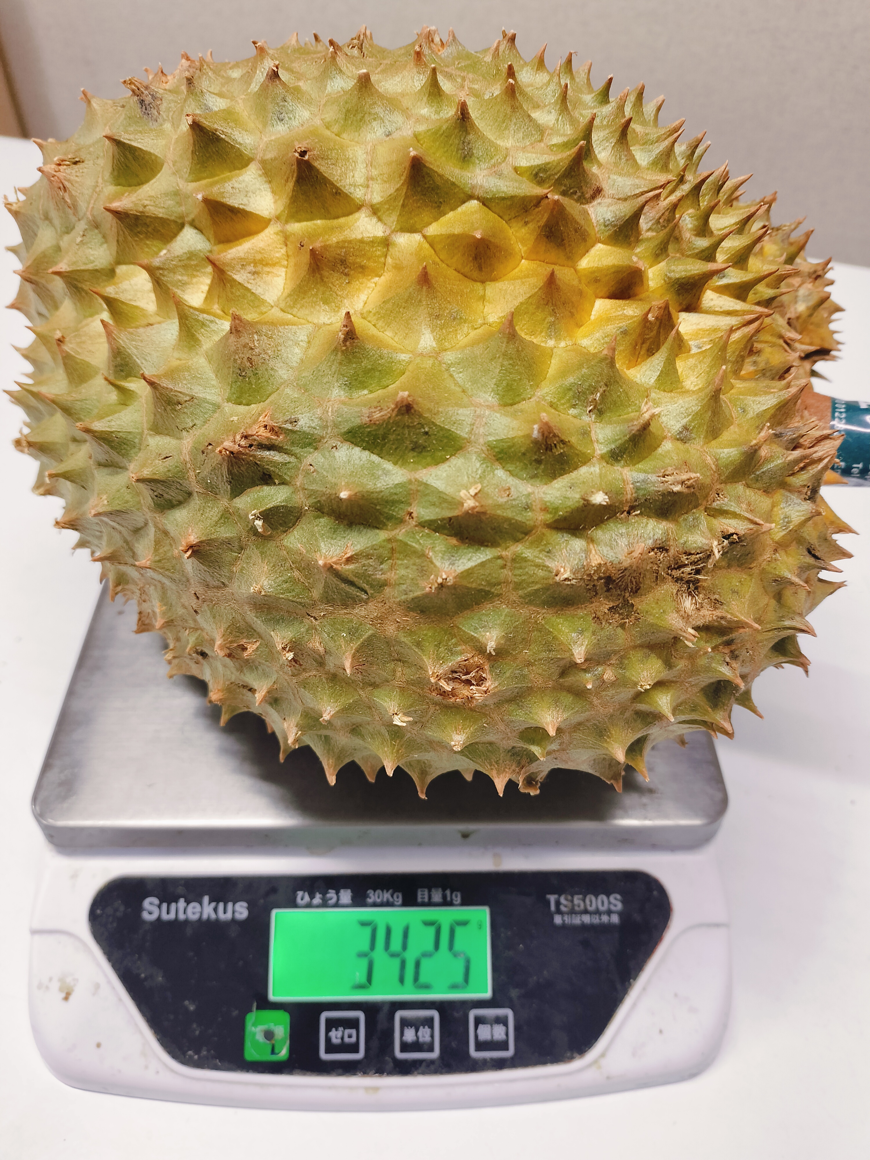 ဒူးရင်းသီးမွန်ထောင်း(-3.3kg+)