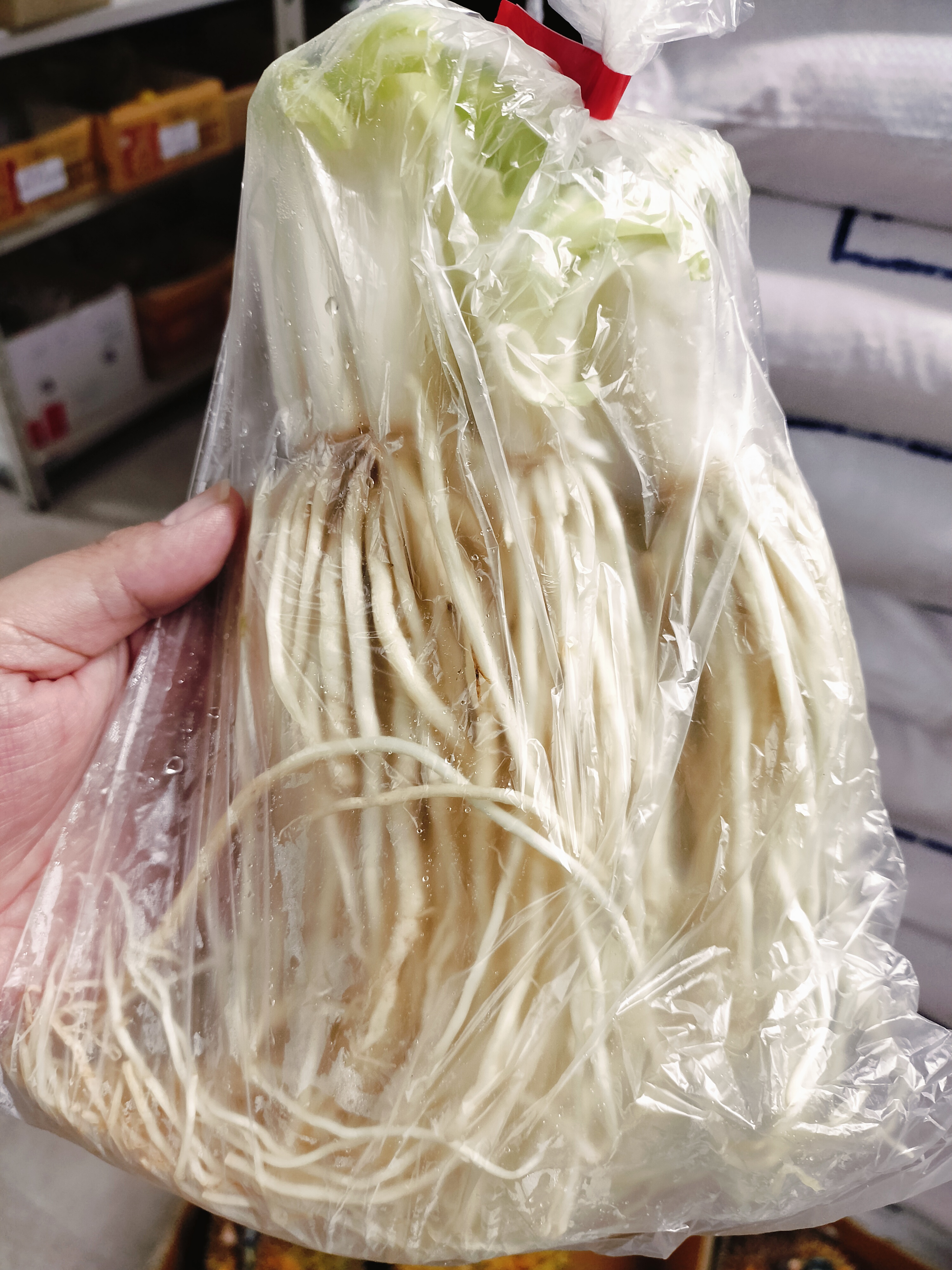 ဂျူးမြစ်(250g)