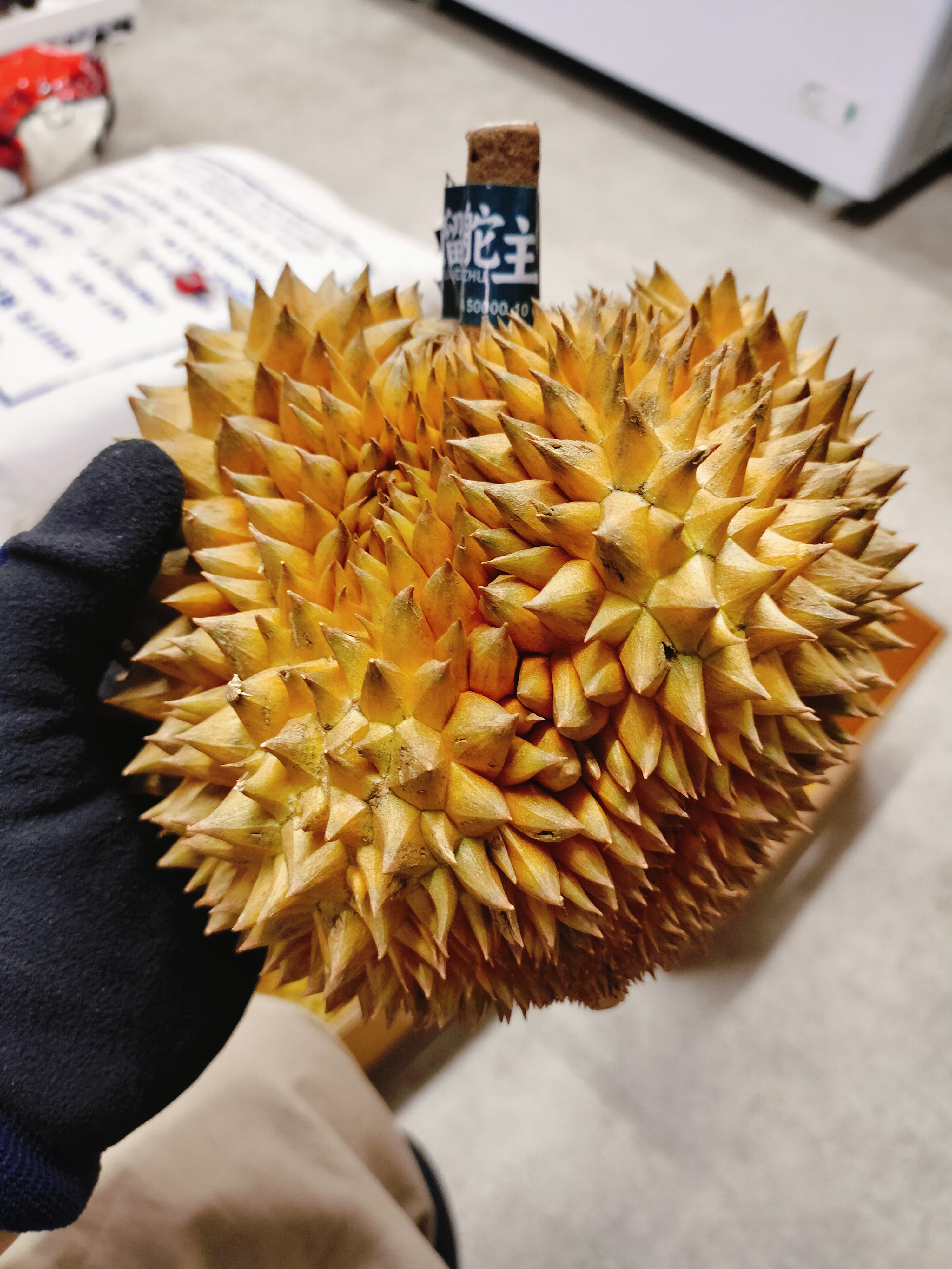 ဒူးရင်းသီးမွန်ထောင်း(-1.1kg+)