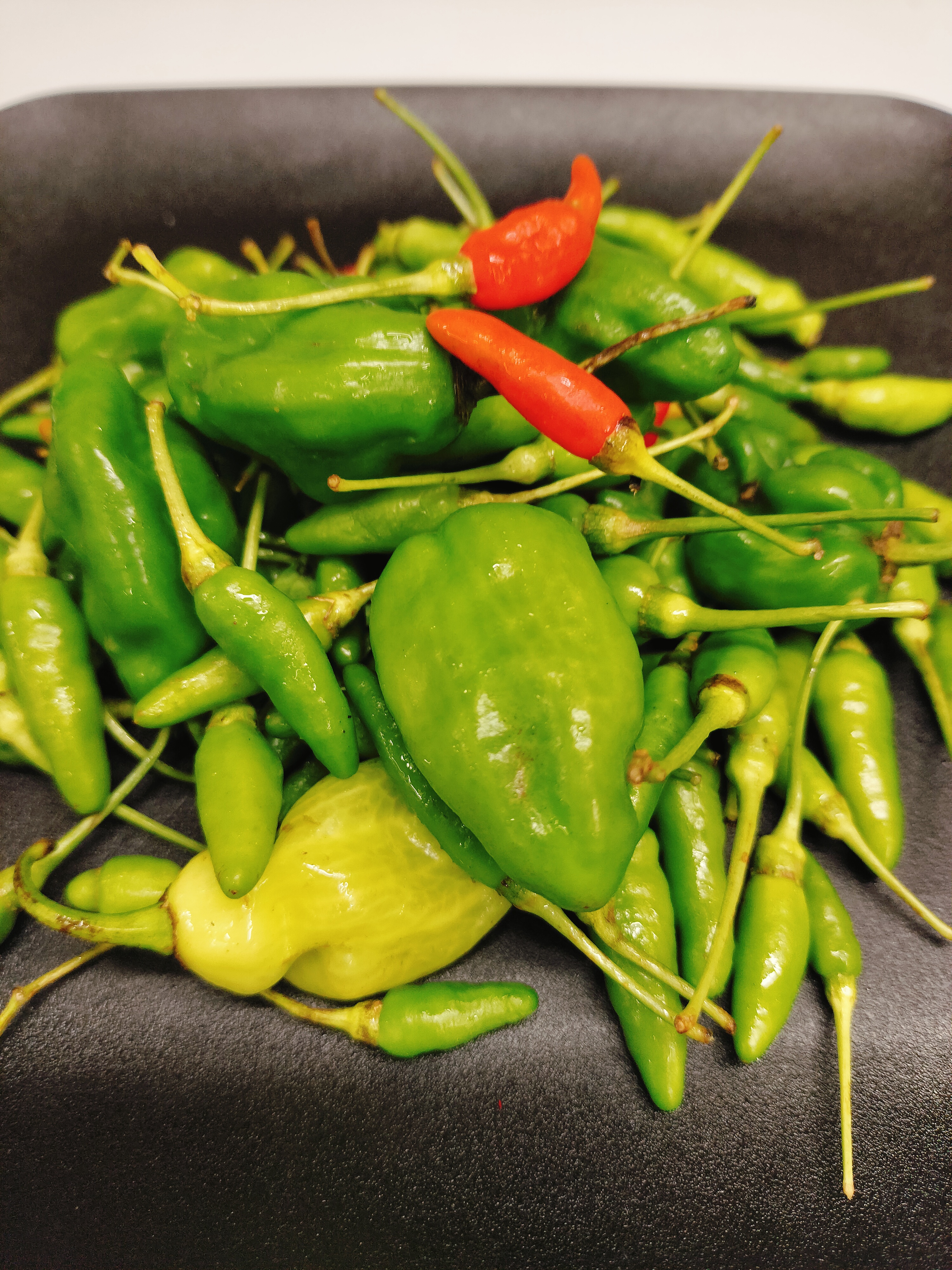 ငရုတ်သီးစိမ်းfresh(ကုလားအော်+ရွှေအပ်)