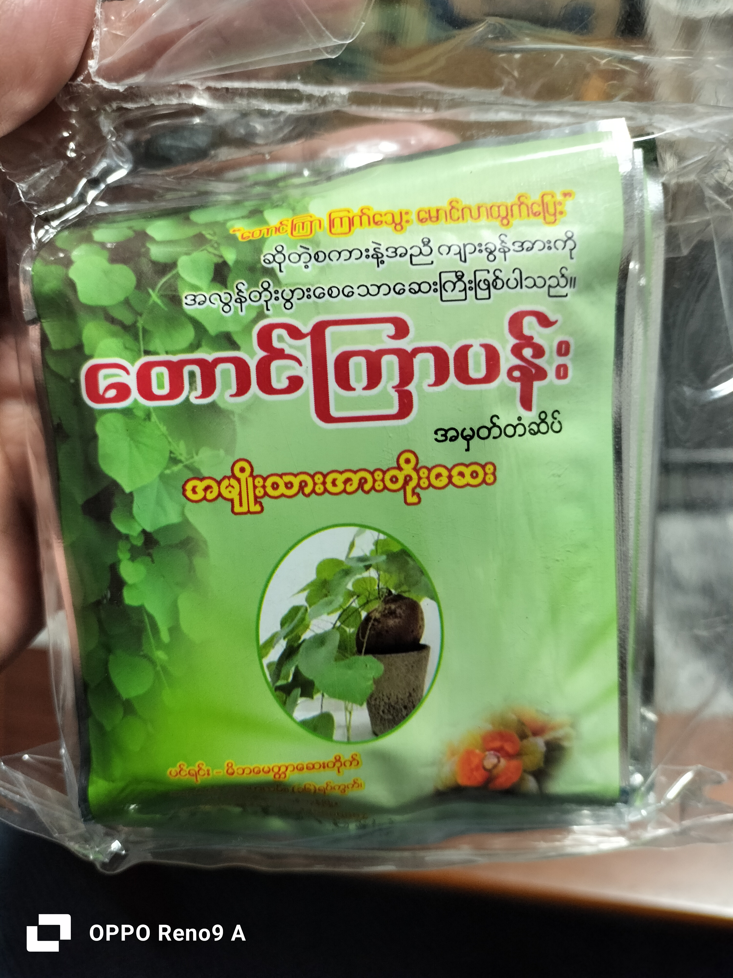 တောင်ကြာပန်း