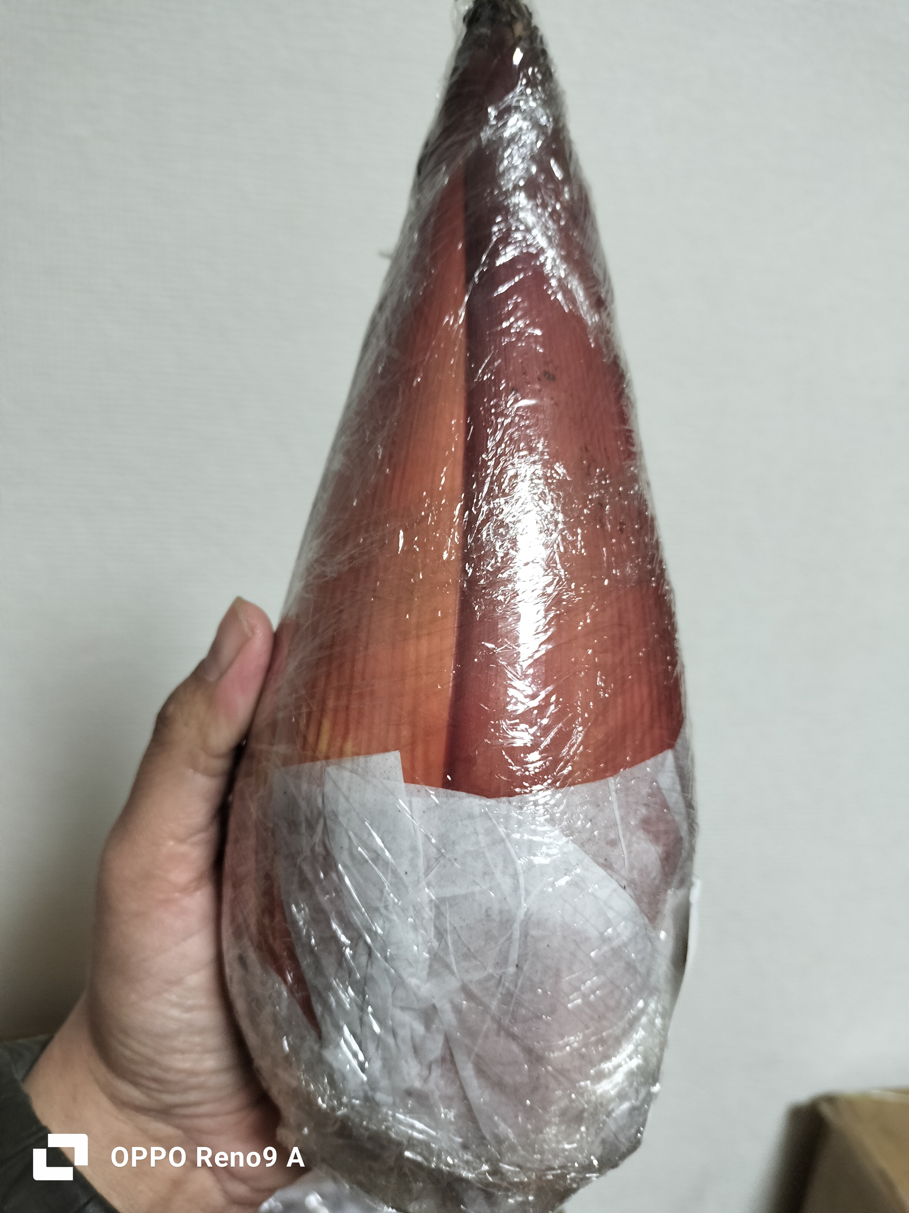 ငှက်ပျောဖူးfresh